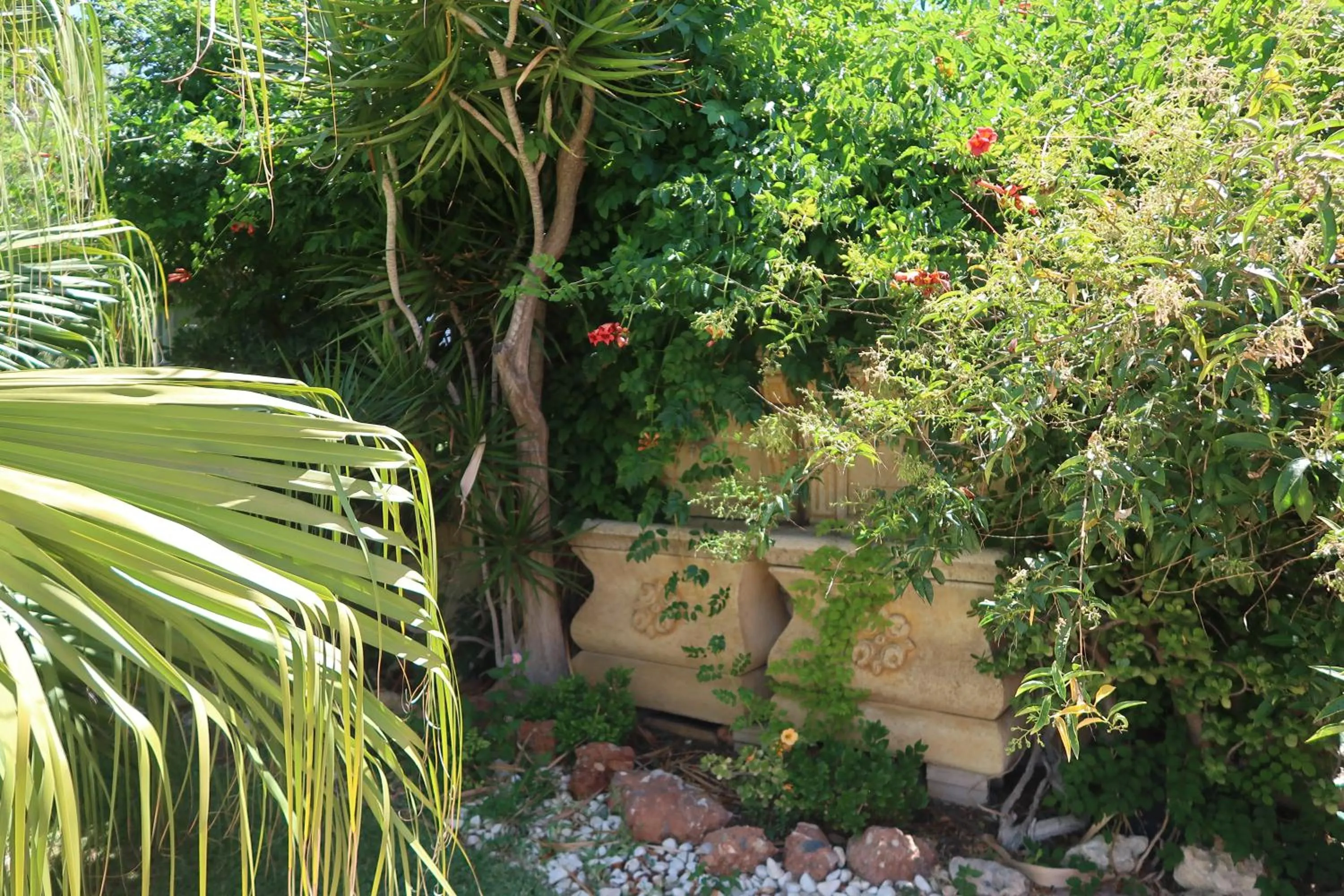 Garden in Hotel Malaga Picasso