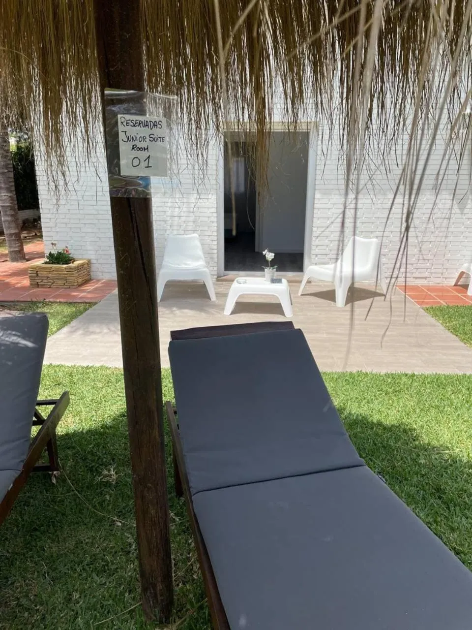 Garden in Hotel Malaga Picasso