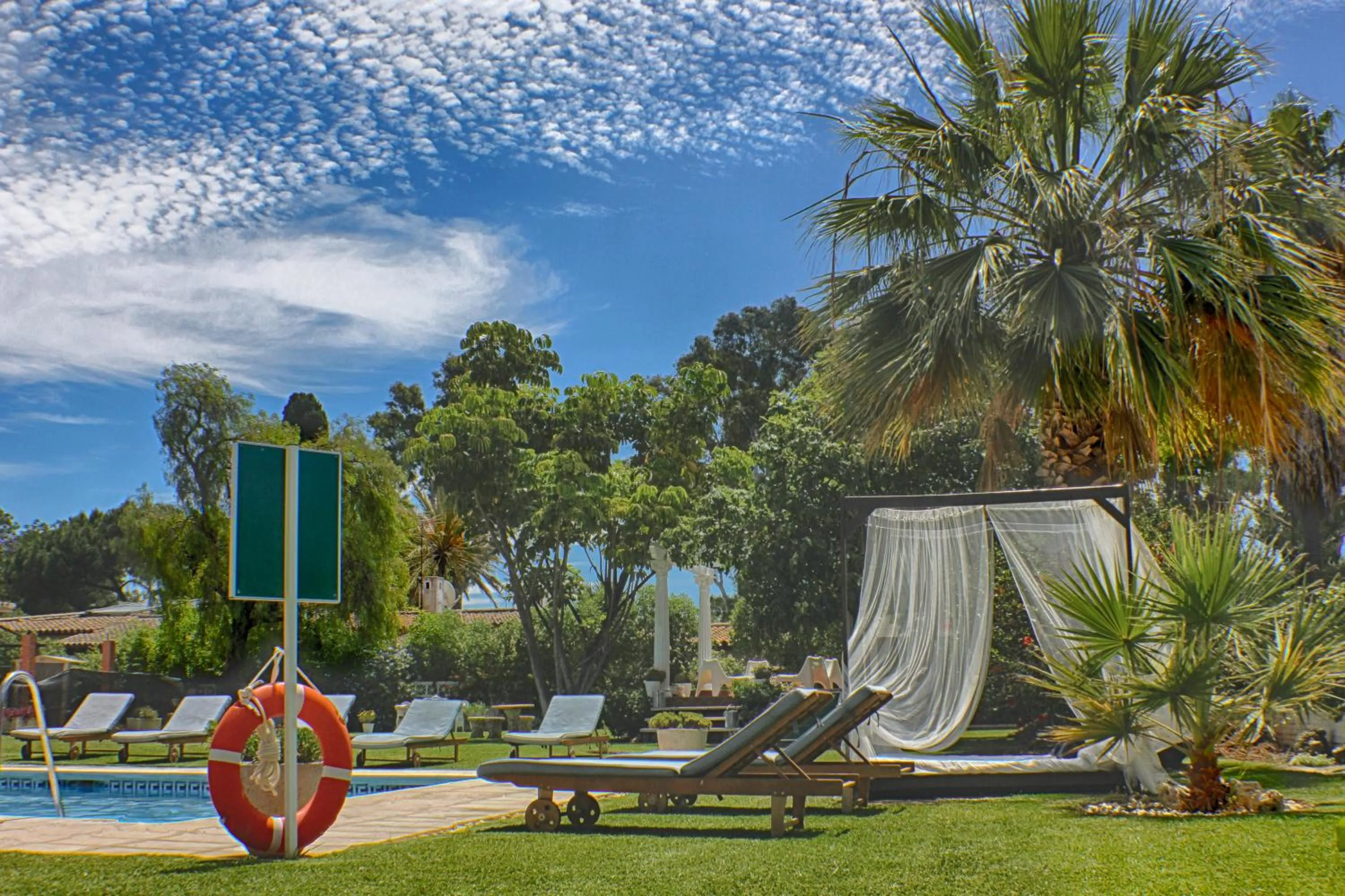 Garden in Hotel Malaga Picasso