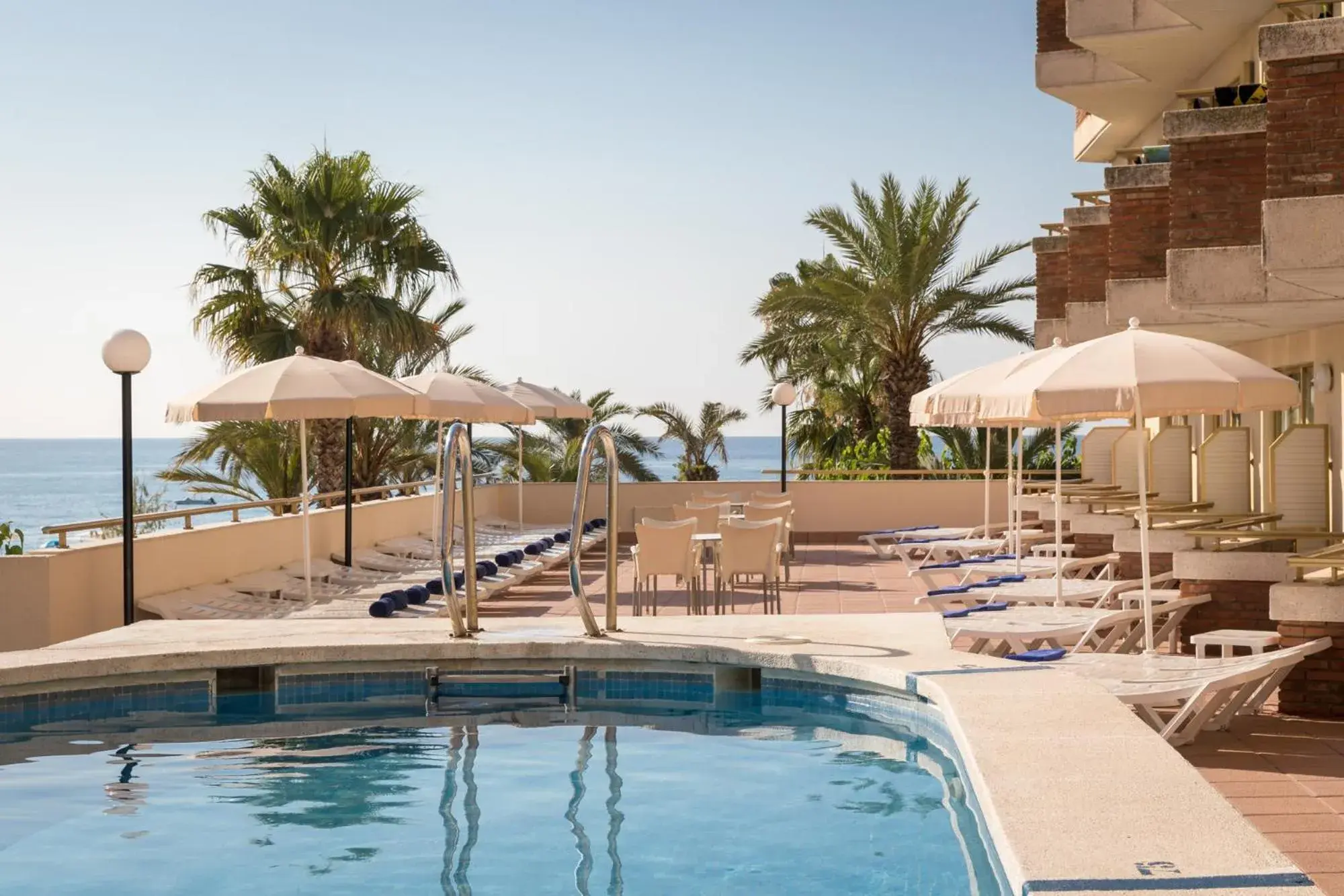 htop Royal Sun #htopFun htop Royal Sun #htopFun