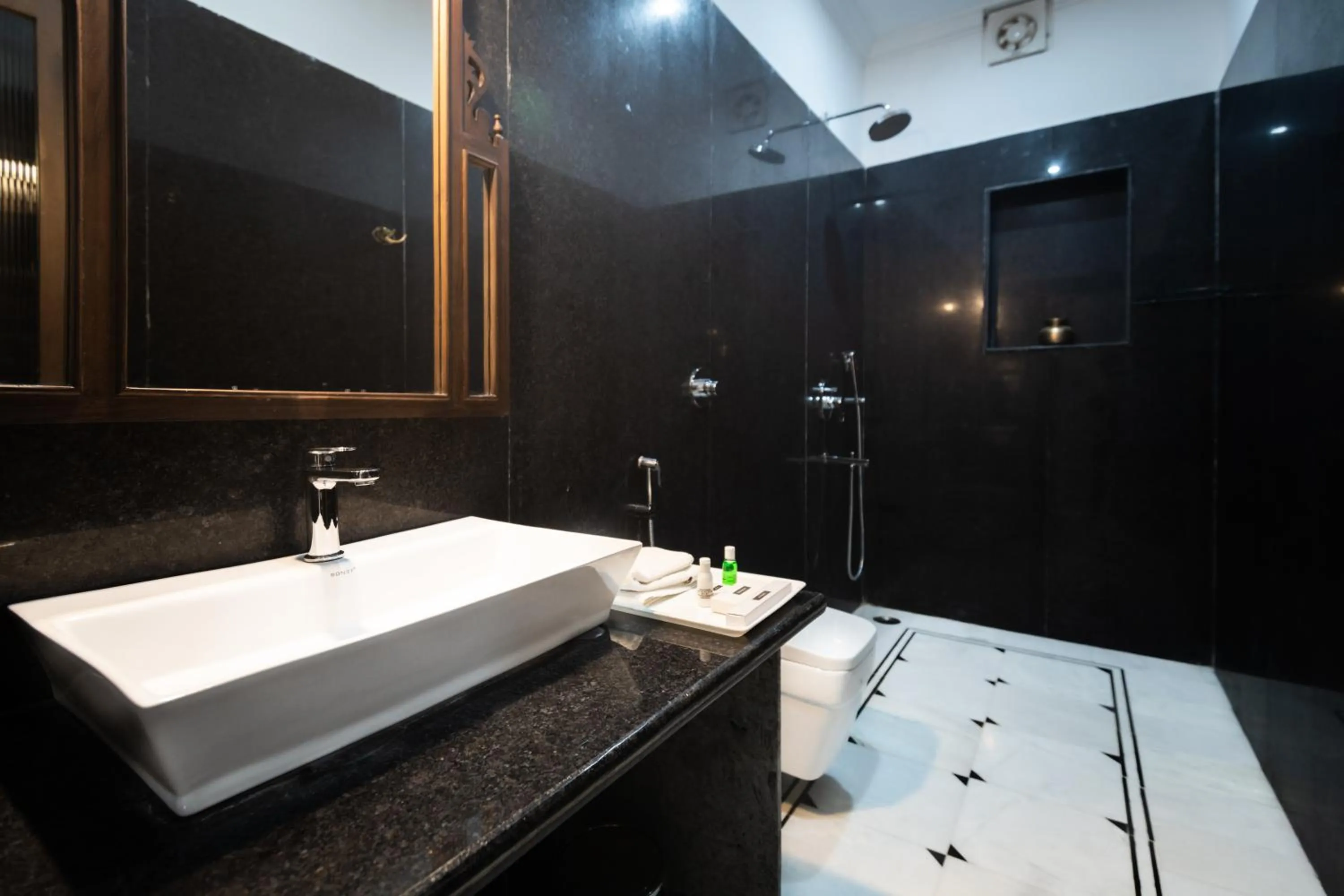 Shower in Hotel Dev Garh