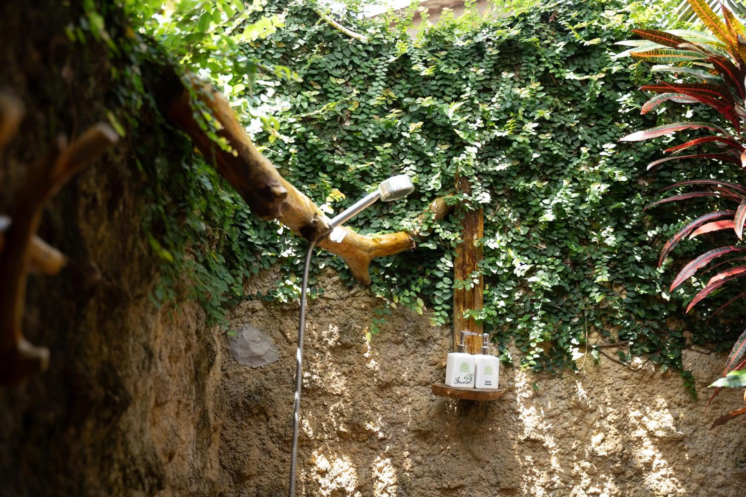 Property building in Vamxang Rustic Home