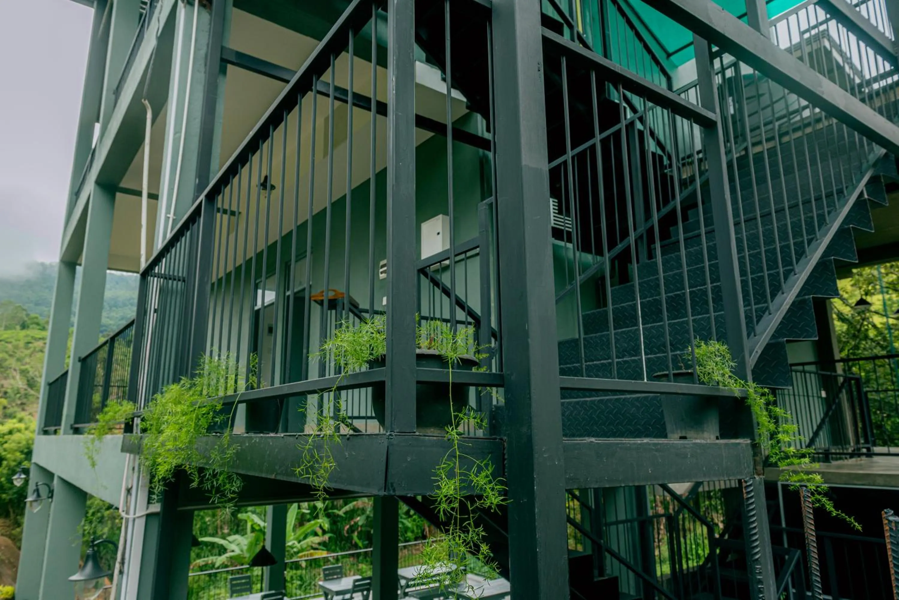 Property building in Kithal Ella Station Resort