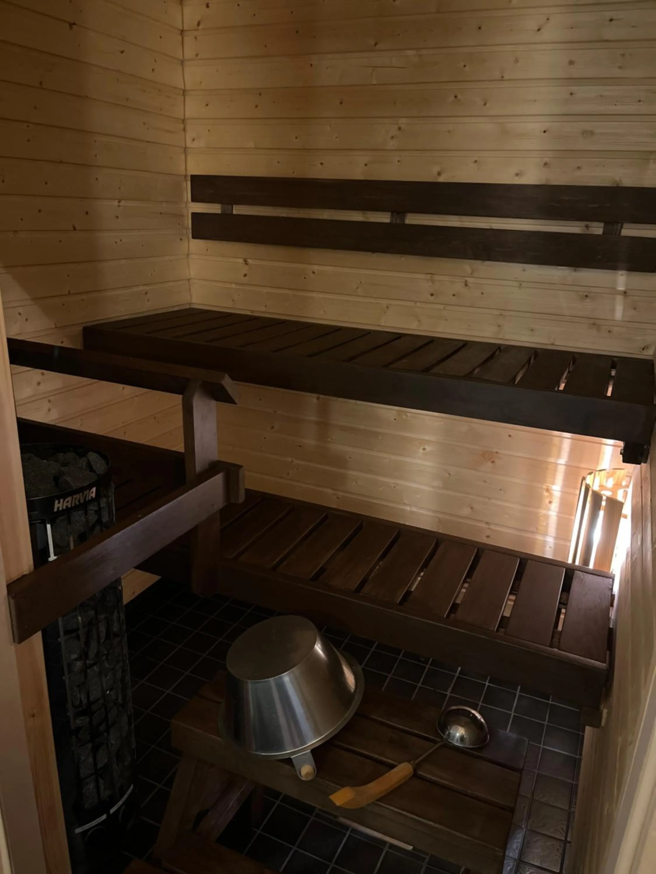 Levi Chalets
