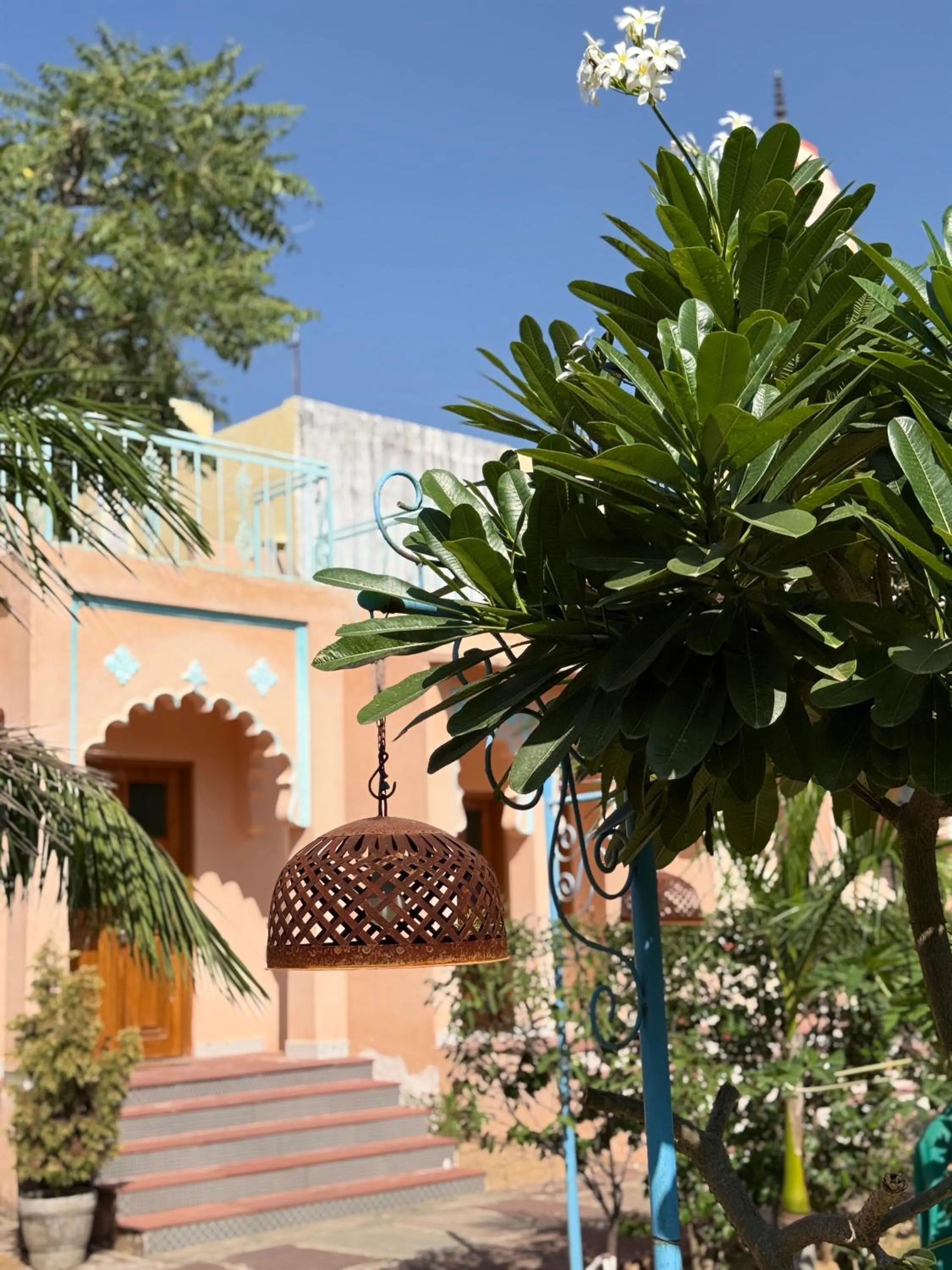 Garden in KothiPushkar