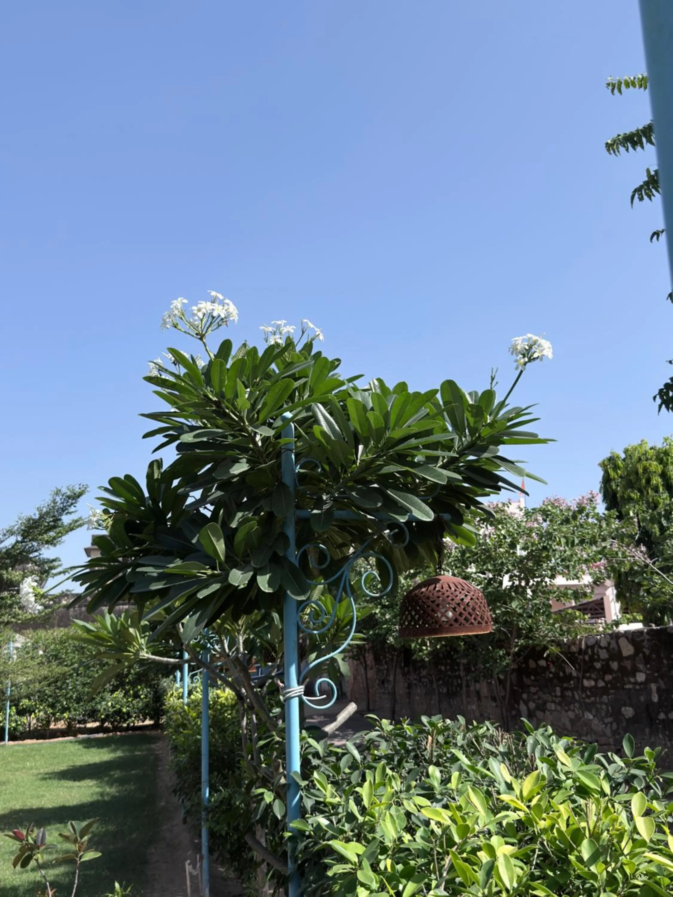 Garden in KothiPushkar