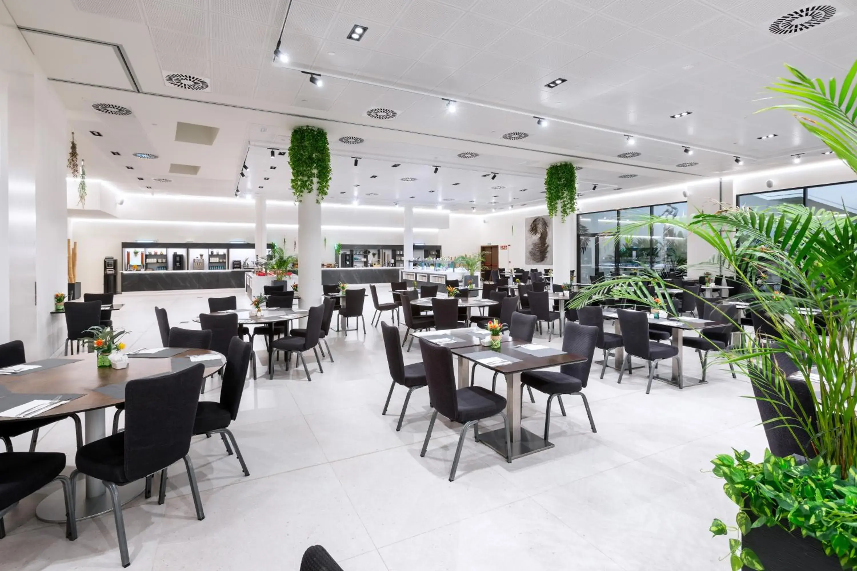 Breakfast in Alexandre Fira Congress Breakfast in Alexandre Fira Congress