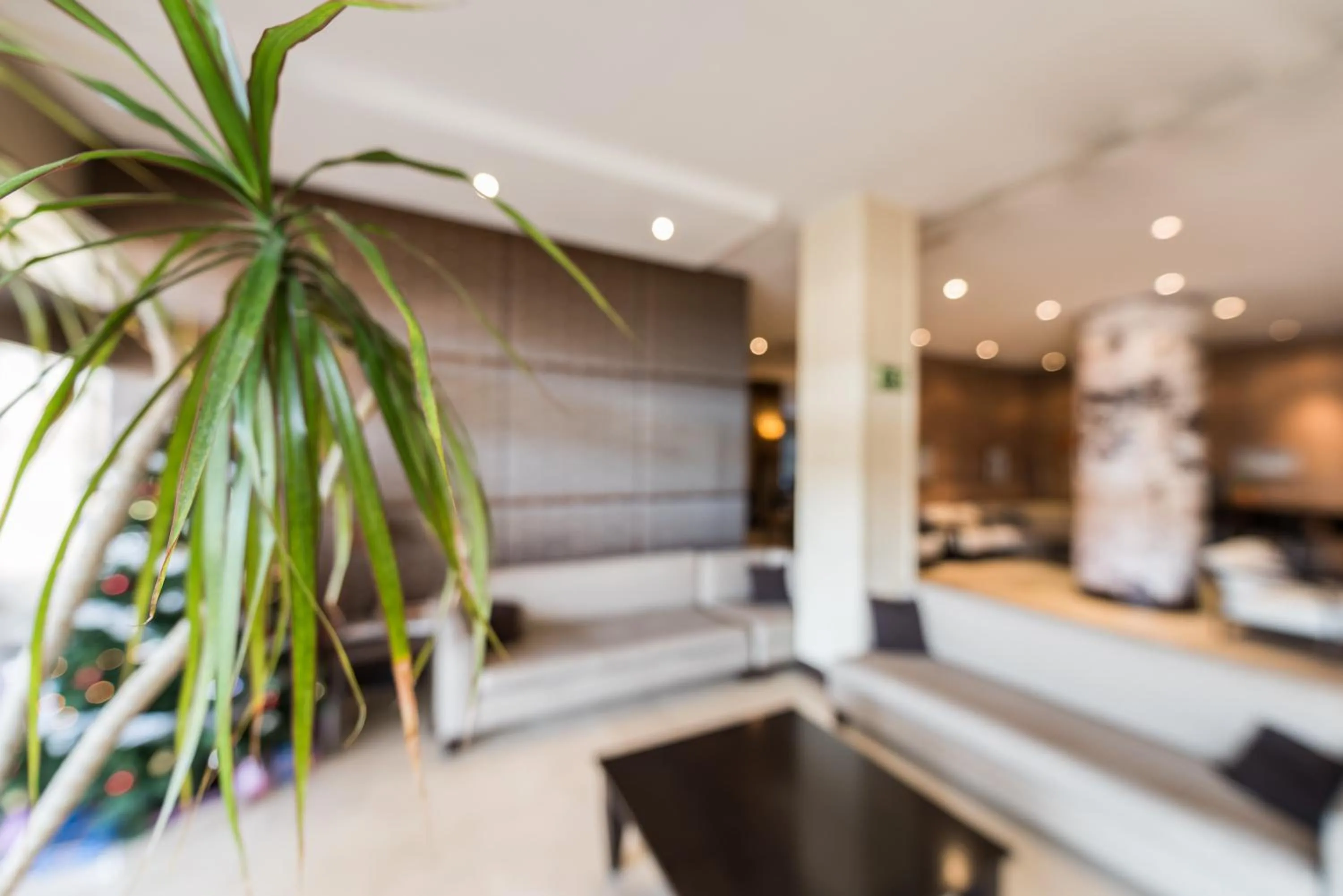 Lobby or reception, Bed in Hotel Mercader