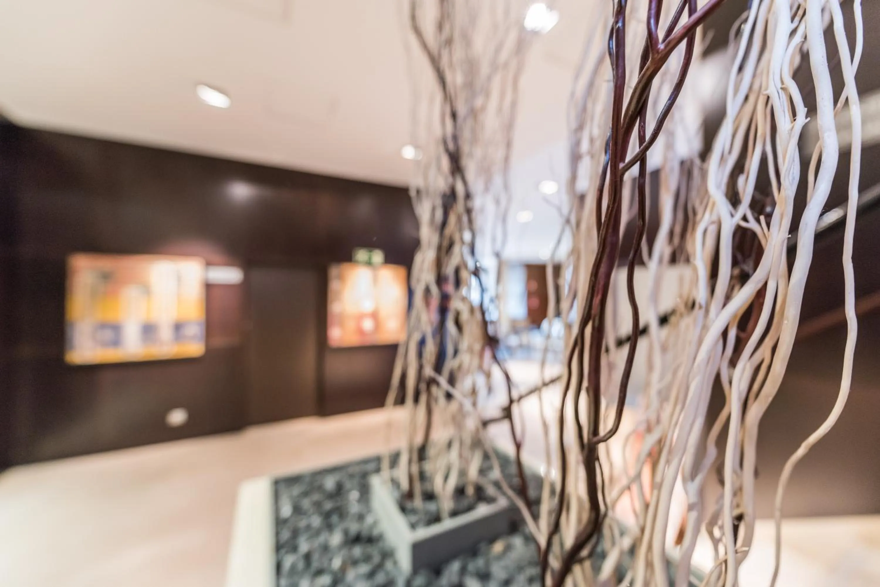 Lobby or reception in Hotel Mercader