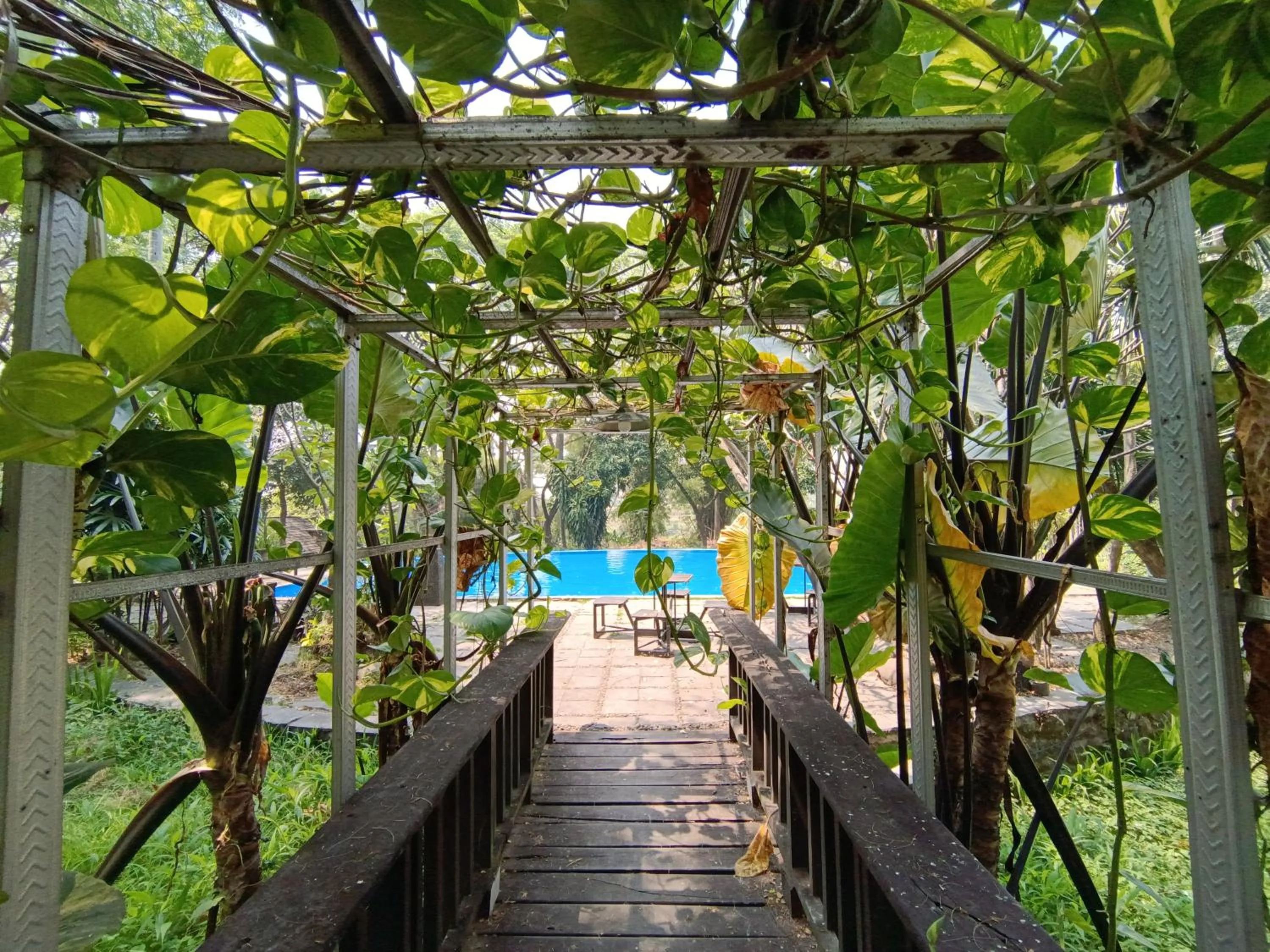 Garden in Grand Mulia Sakinah Boutique Resort Pandaan