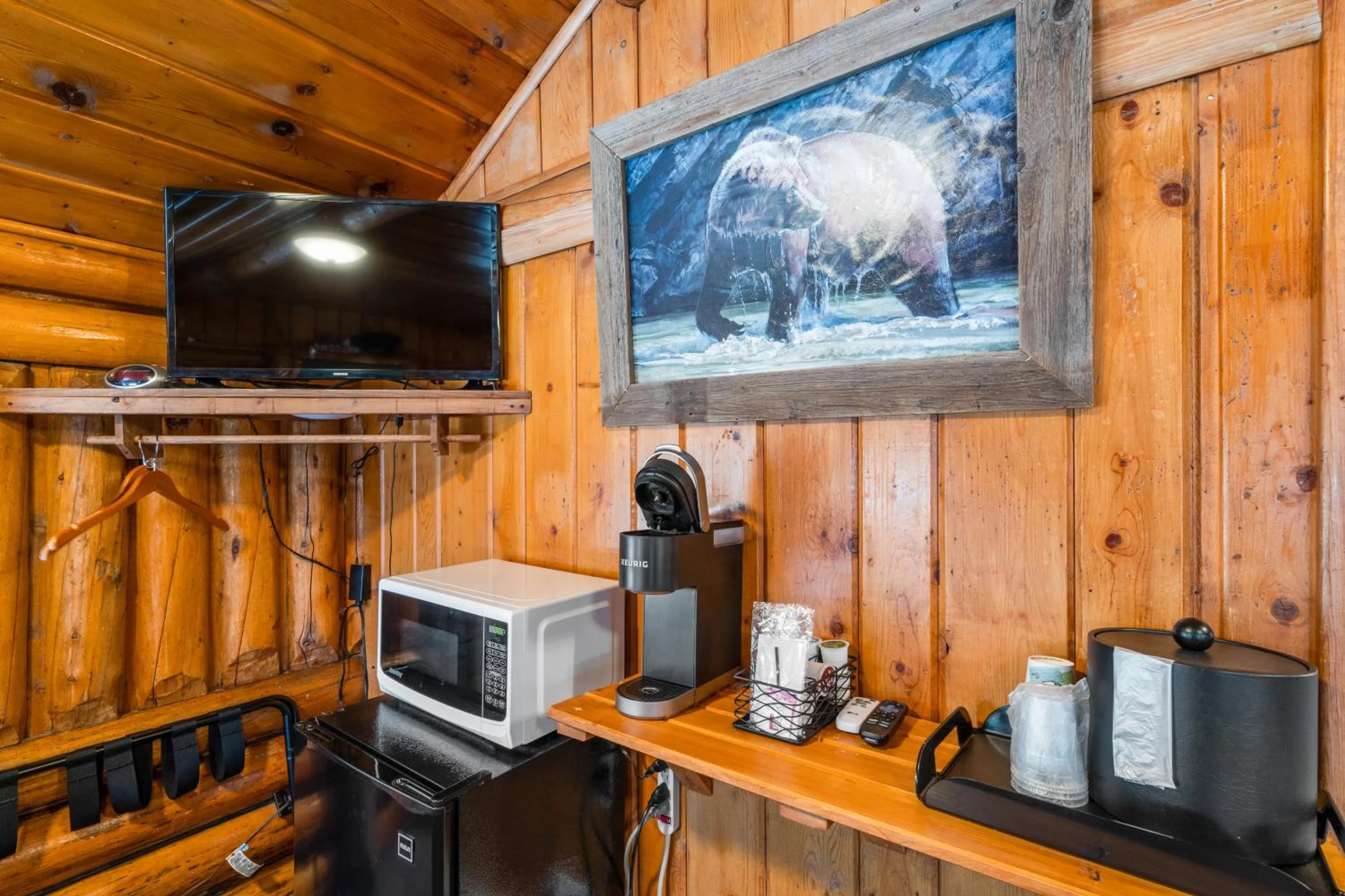 TV and multimedia in The Bucking Moose