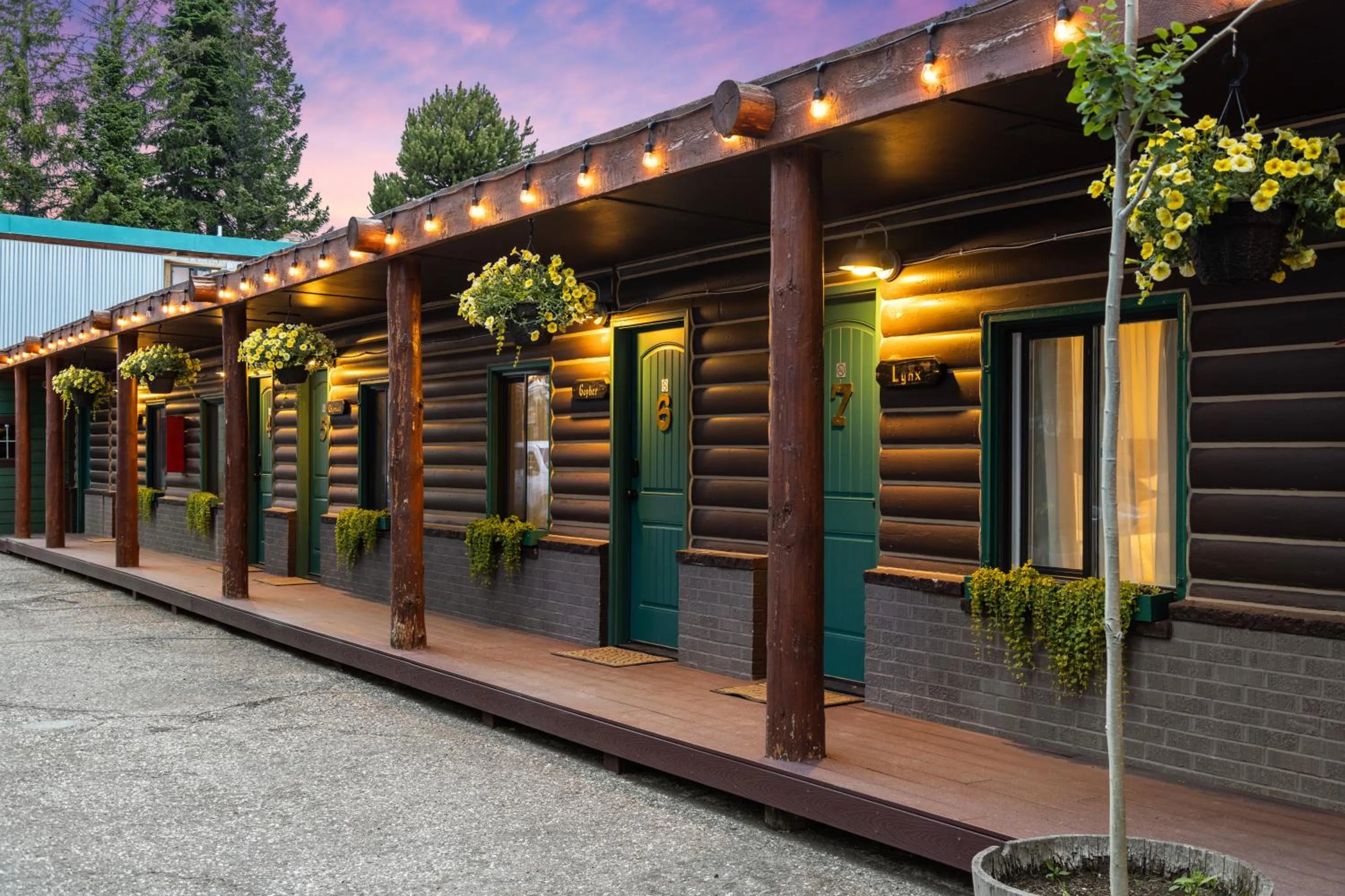 Property building in The Bucking Moose