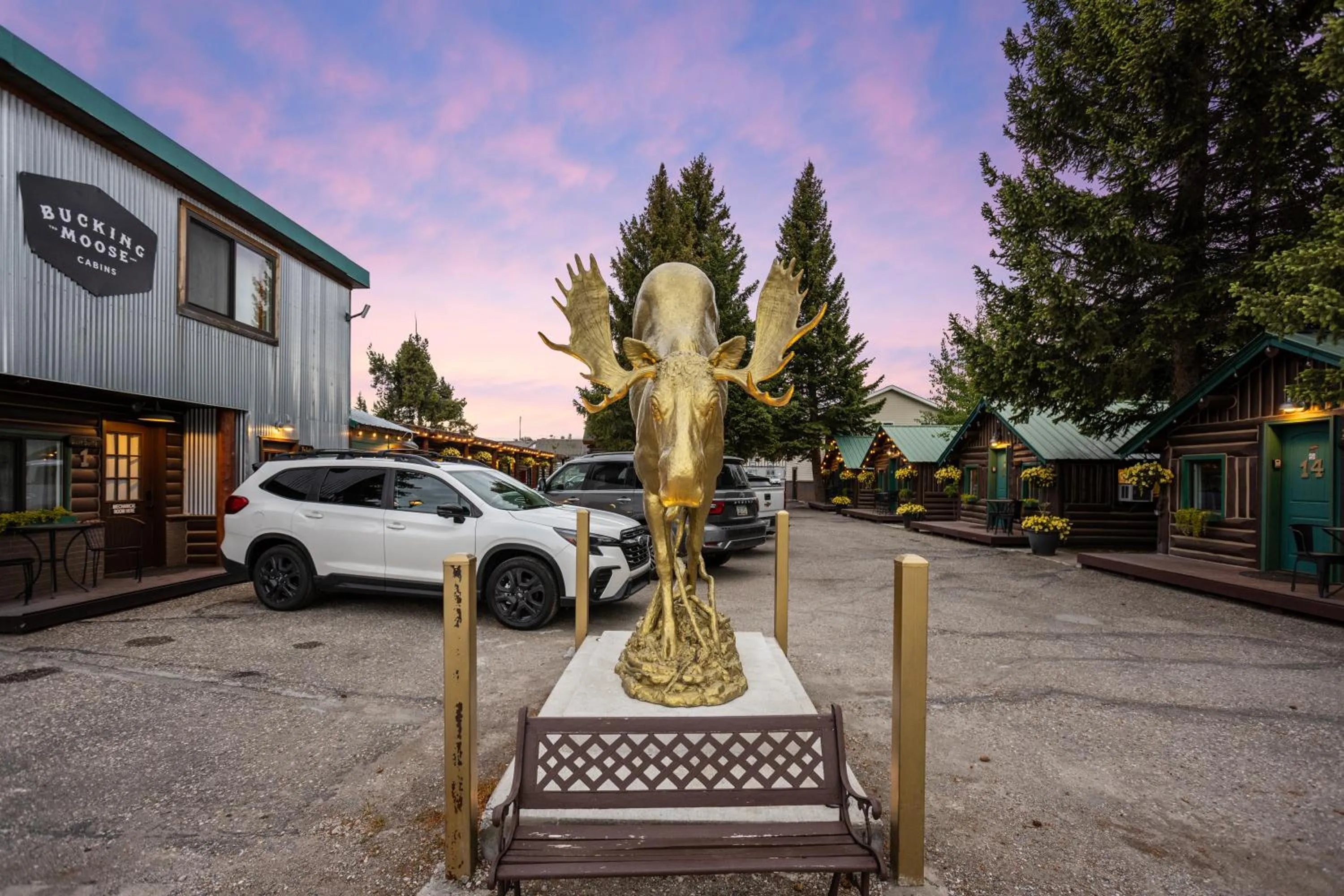 Property building in The Bucking Moose