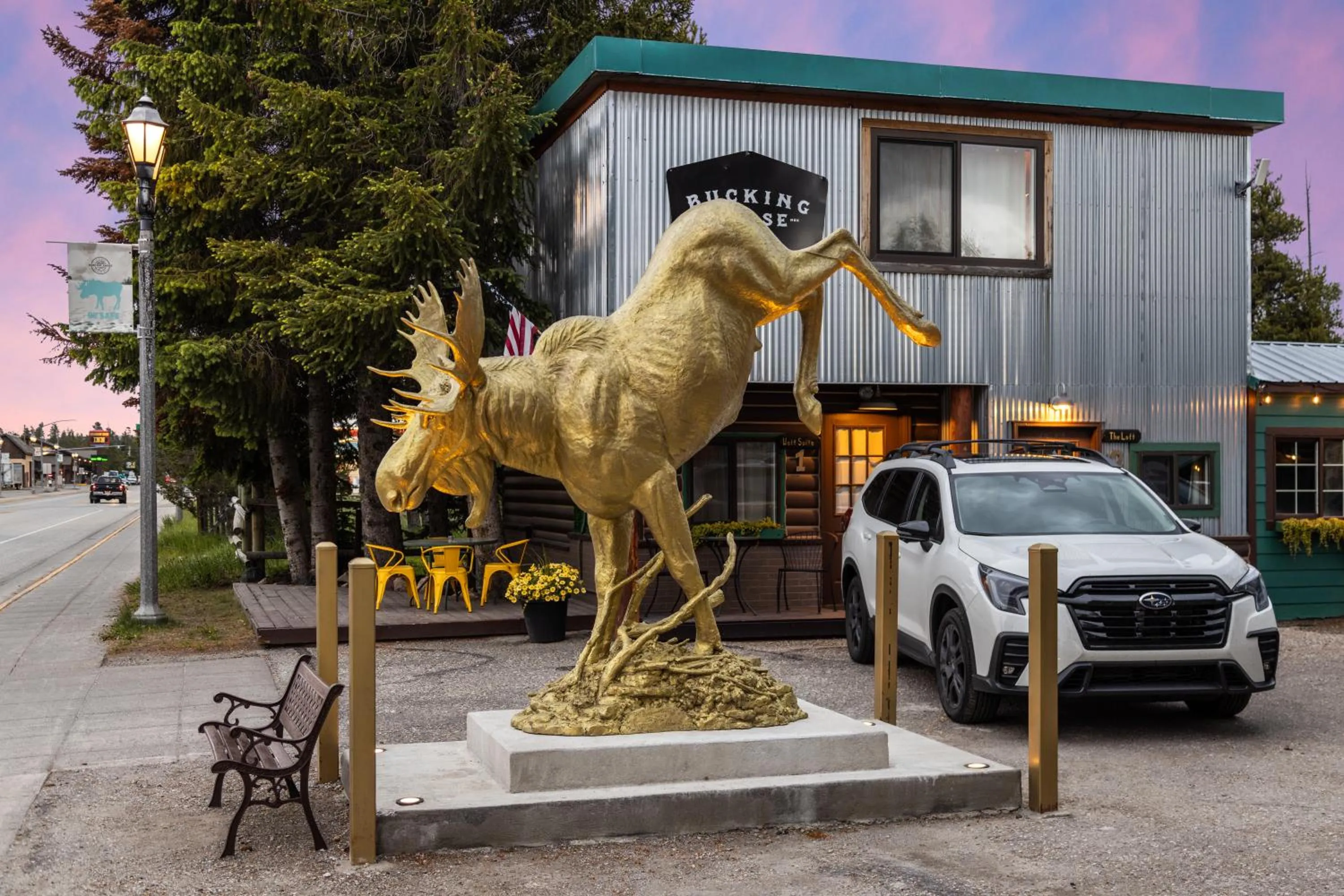 Property building in The Bucking Moose