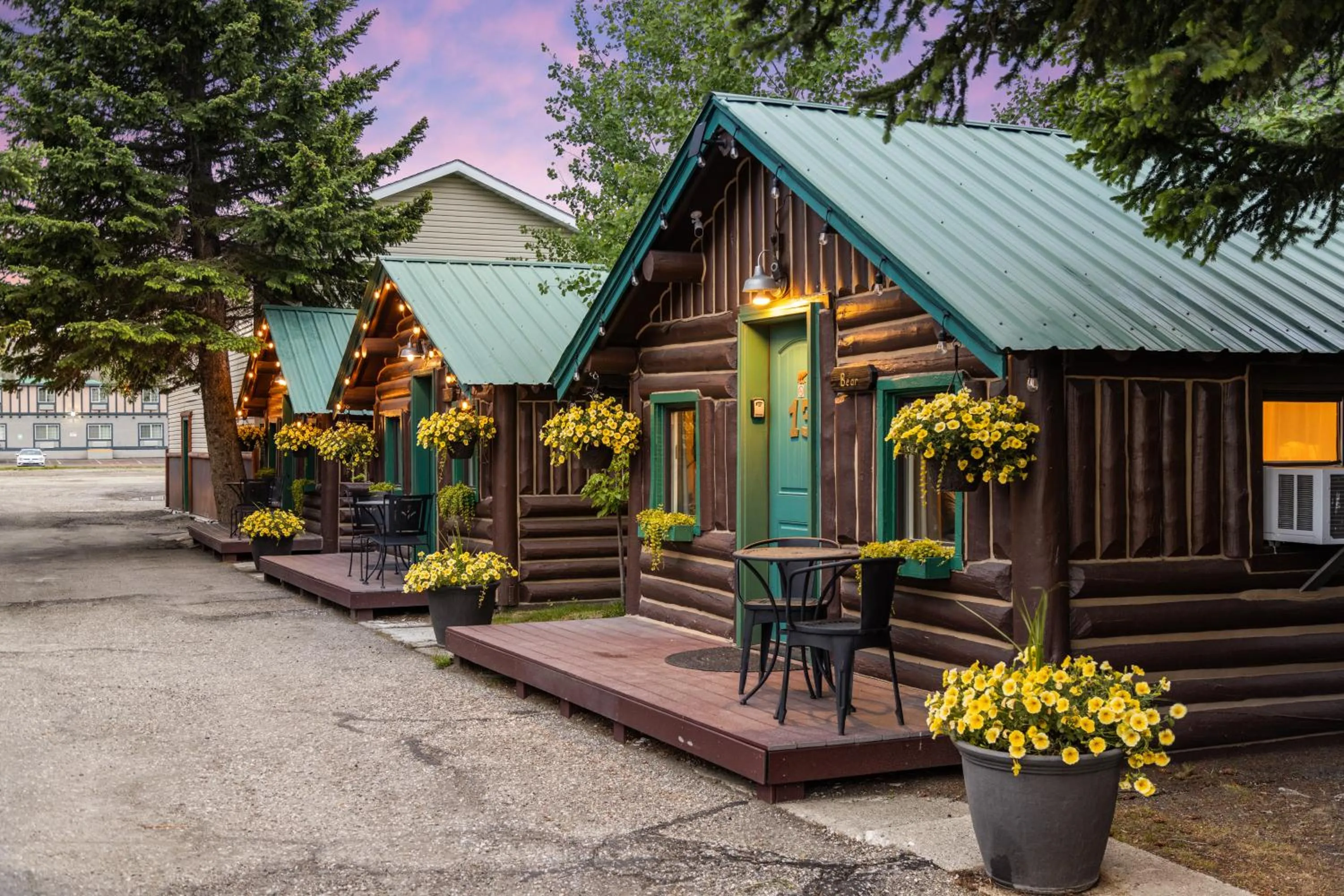 Property building in The Bucking Moose