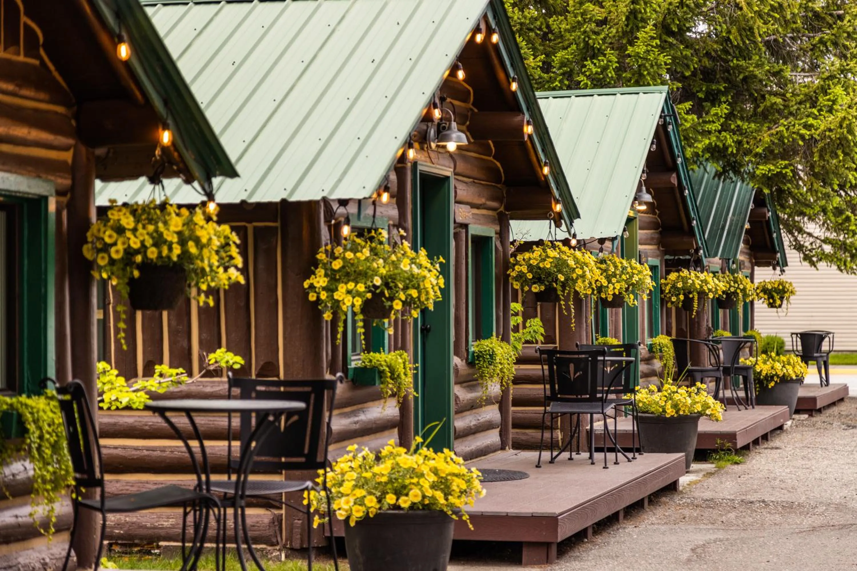 Property building in The Bucking Moose