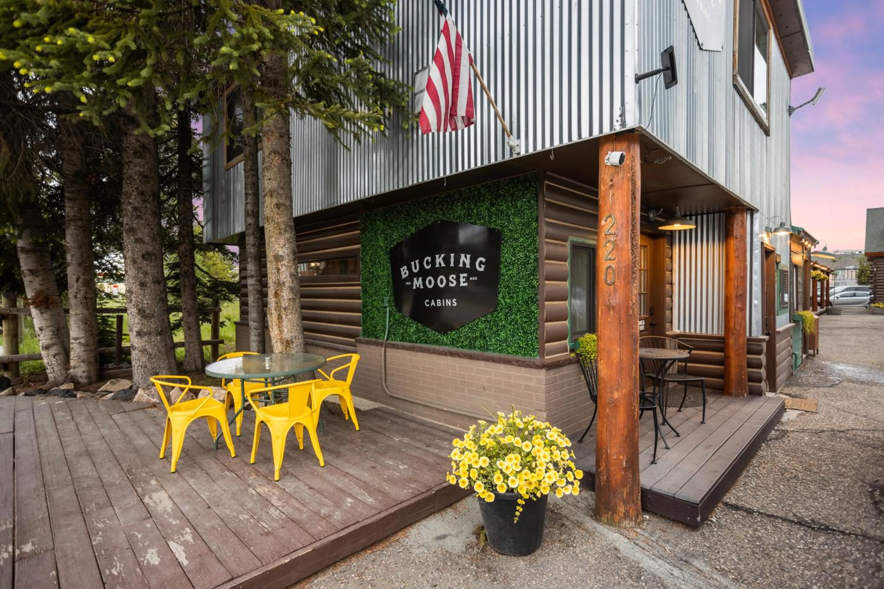 Property building in The Bucking Moose