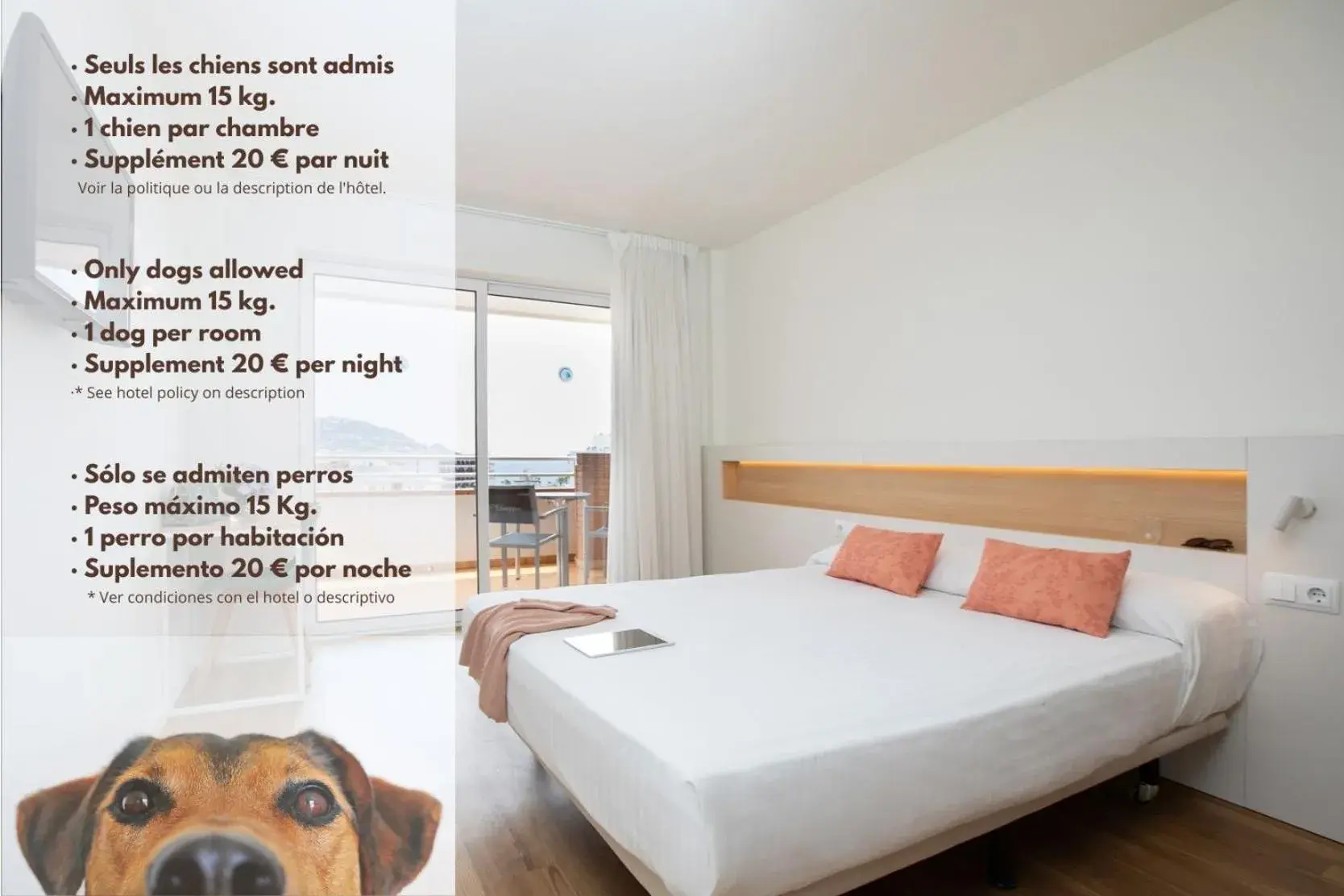 Pets, Bed in Prestige Sant Marc Pets, Bed in Prestige Sant Marc