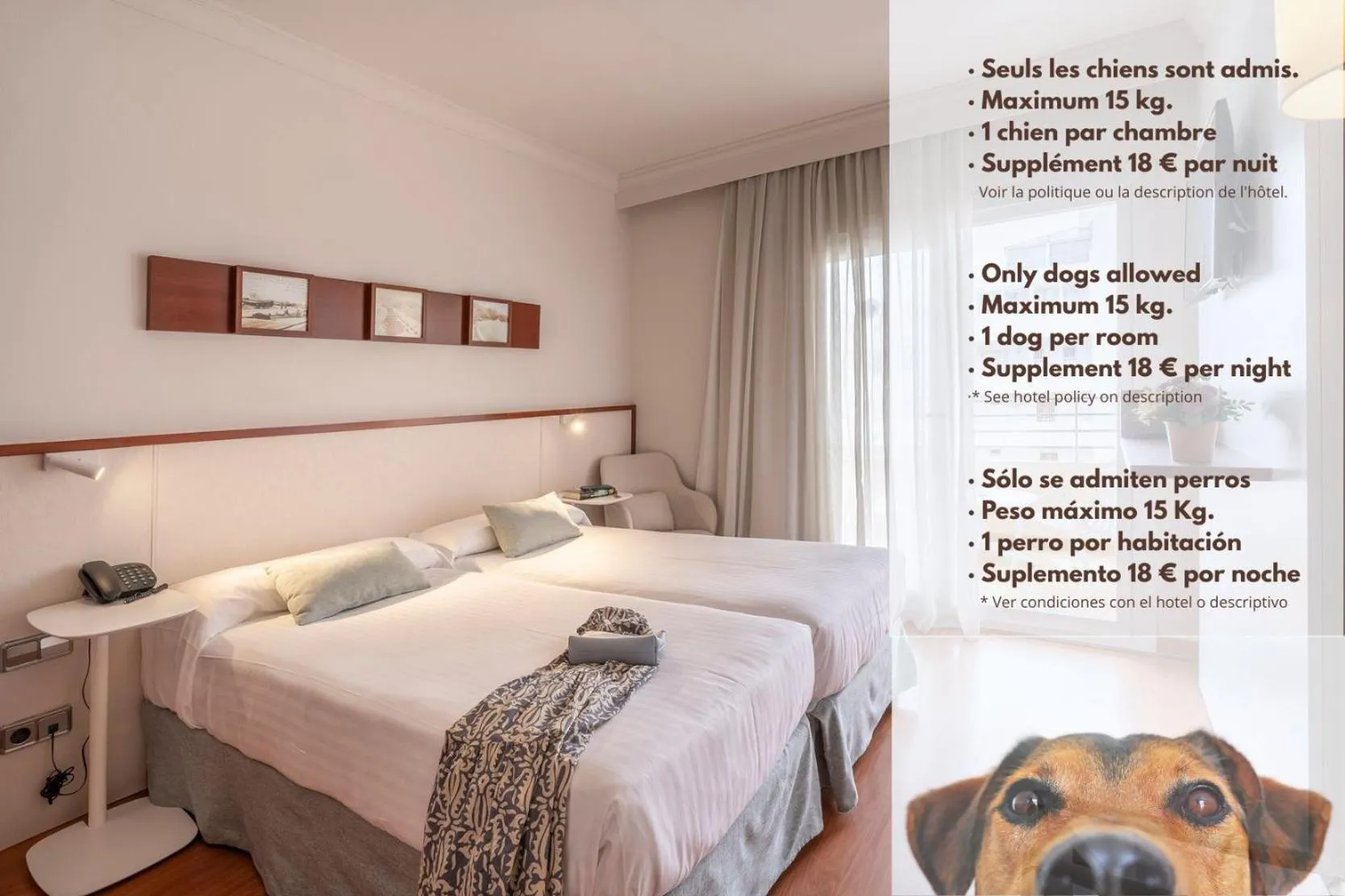 Pets, Bed in Prestige Victoria