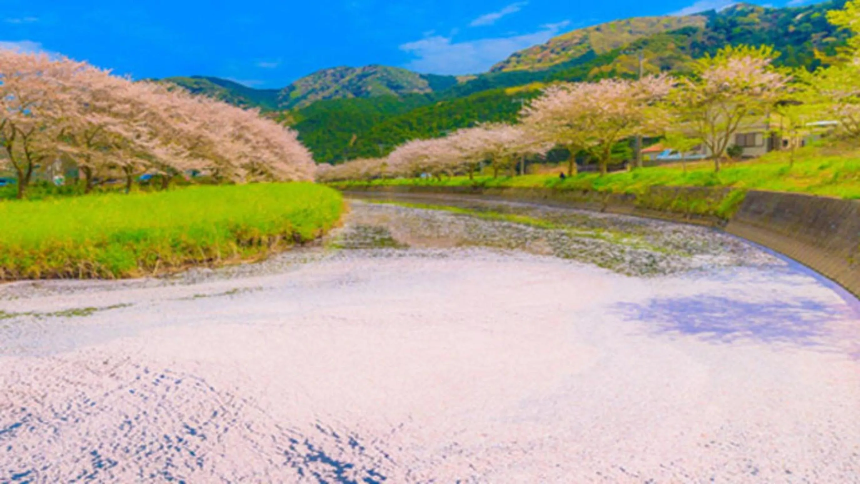 Kyukamura Minami-Izu