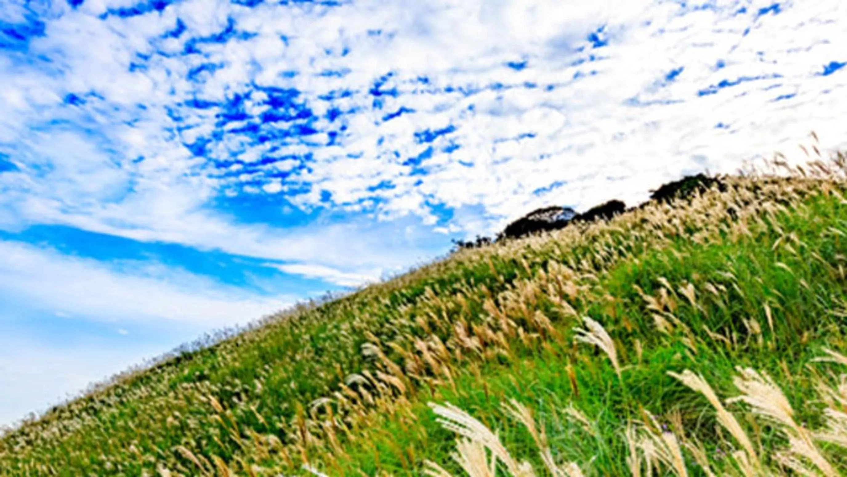 Kyukamura Minami-Izu