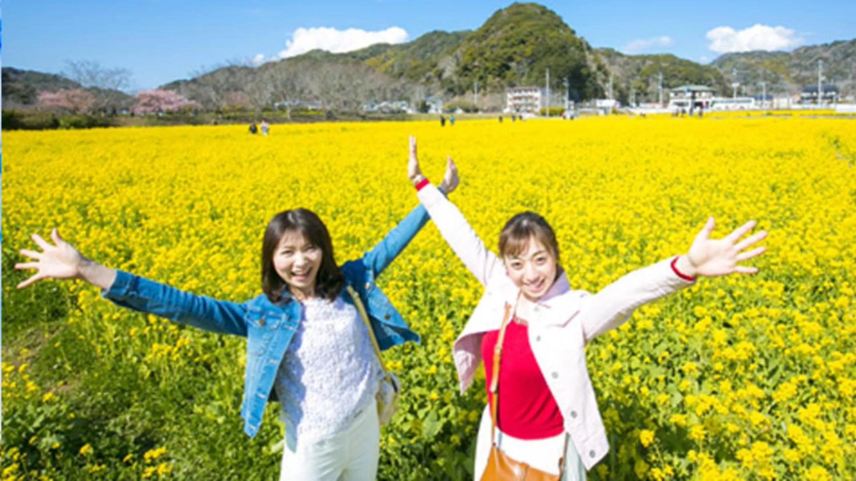 Kyukamura Minami-Izu