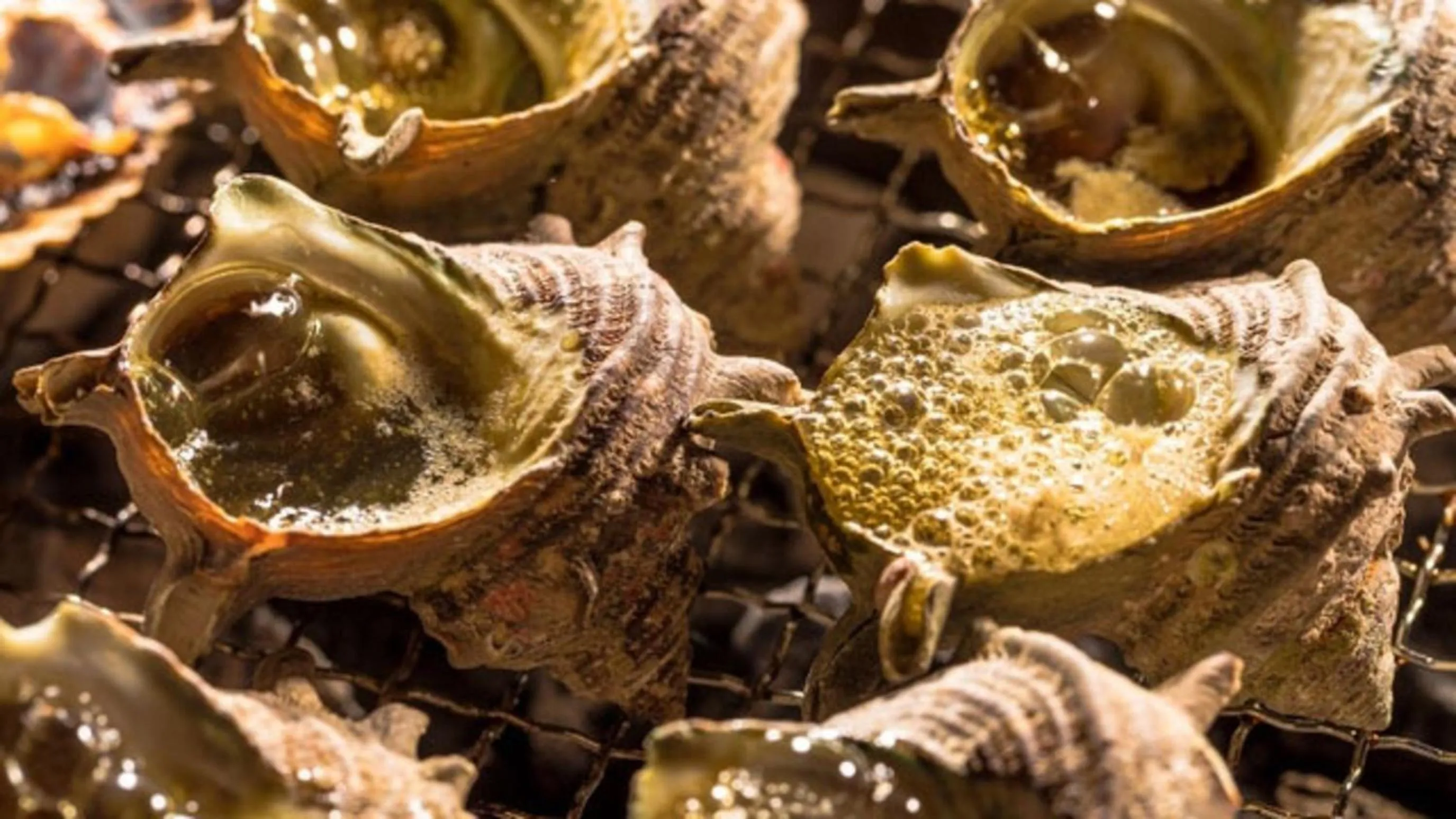 Kyukamura Minami-Izu