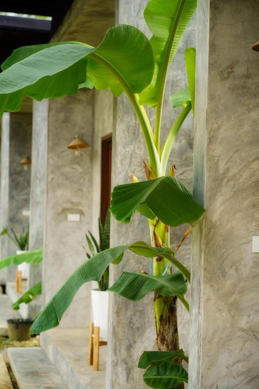 View (from property/room) in Vangvieng Angsavanh Resort