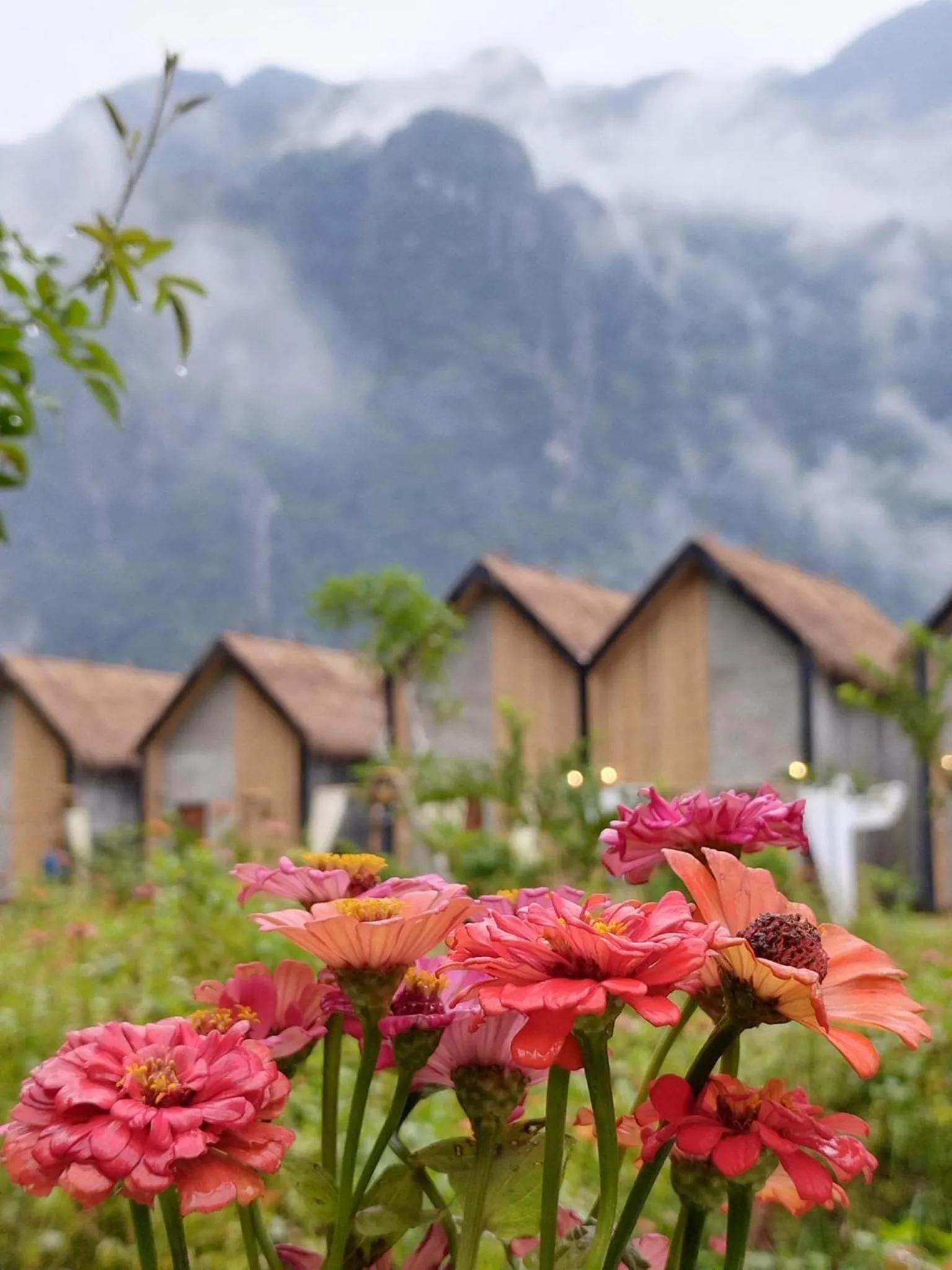 Vangvieng Angsavanh Resort