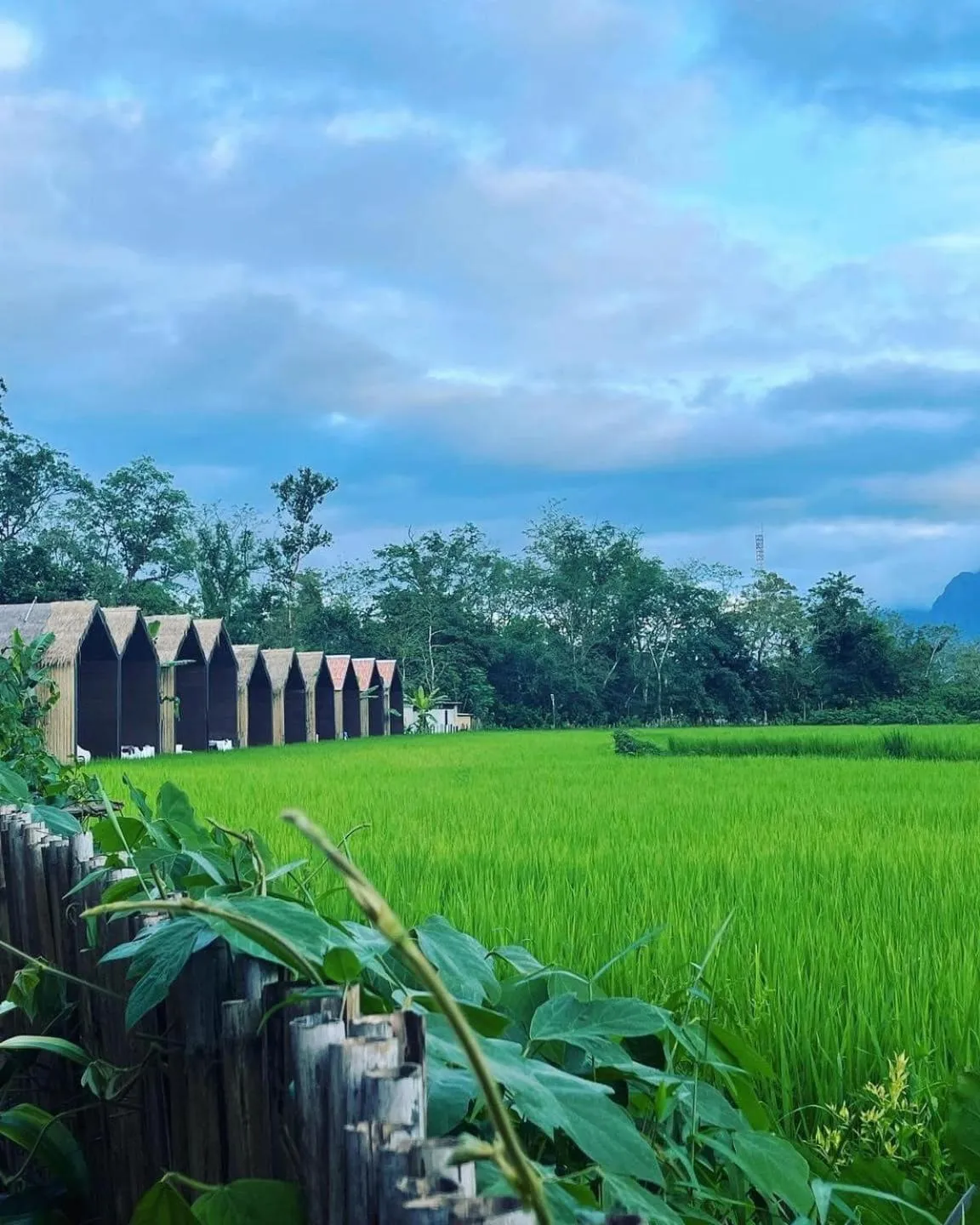 Vangvieng Angsavanh Resort