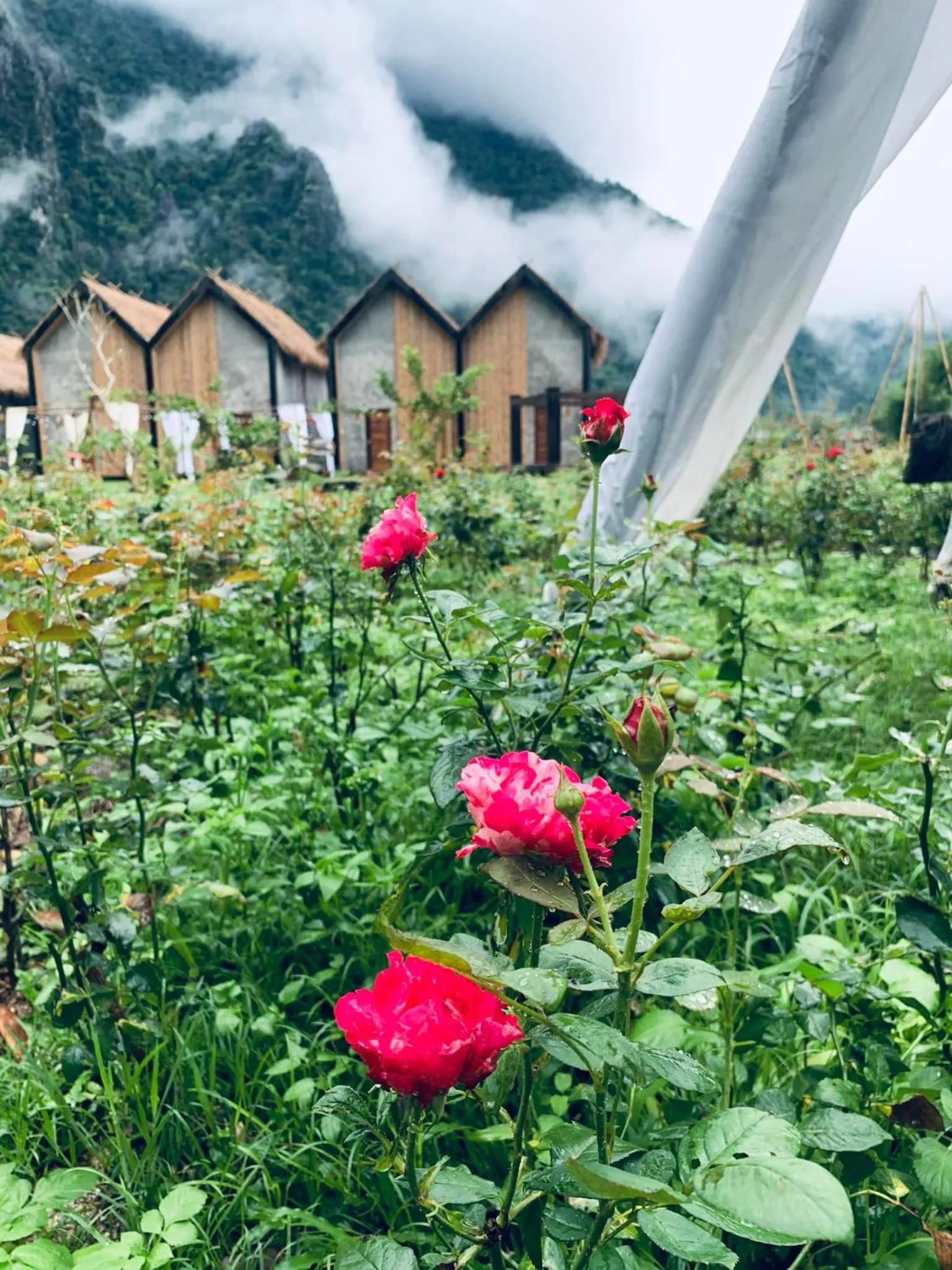 Vangvieng Angsavanh Resort