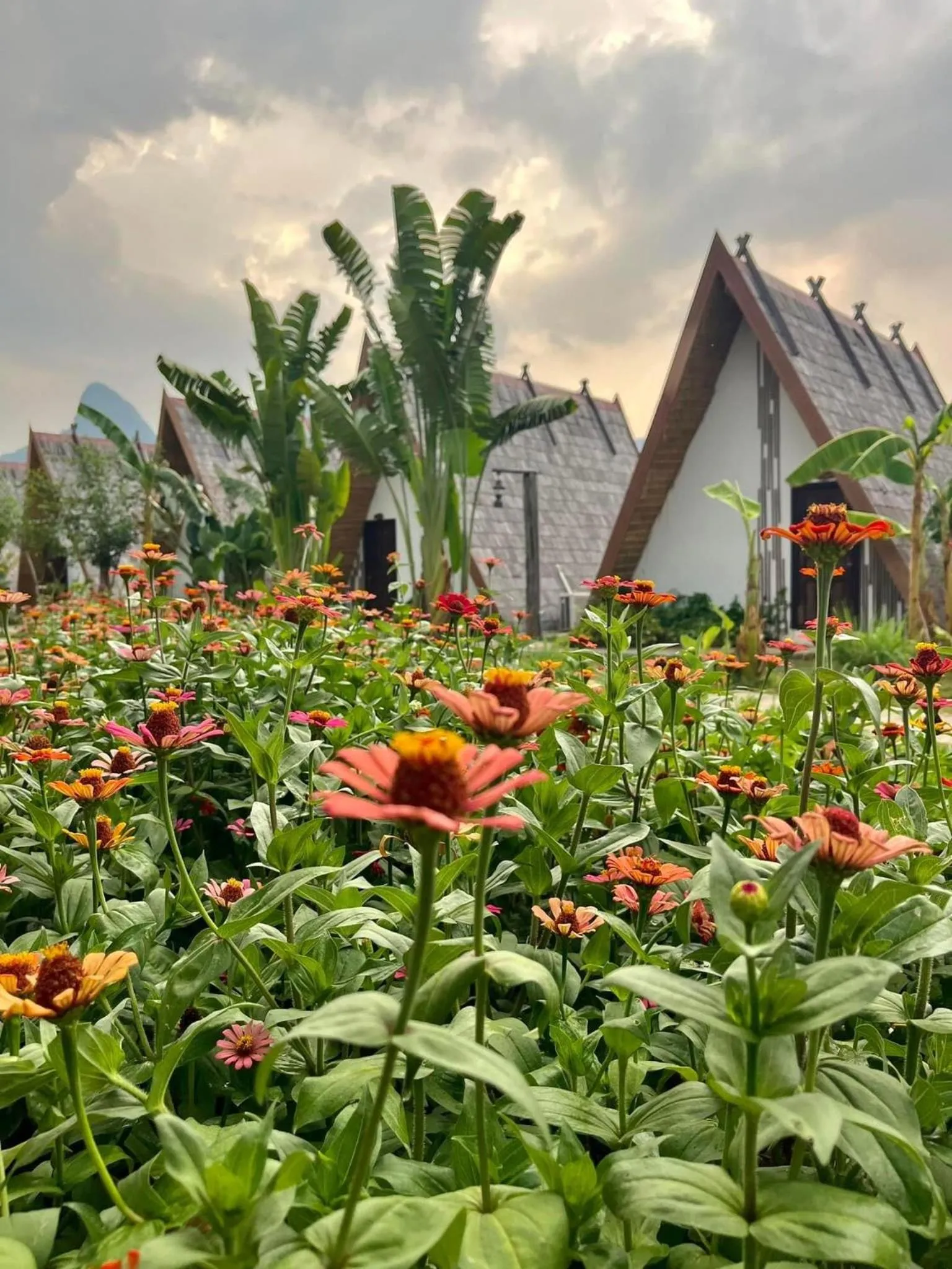 Vangvieng Angsavanh Resort