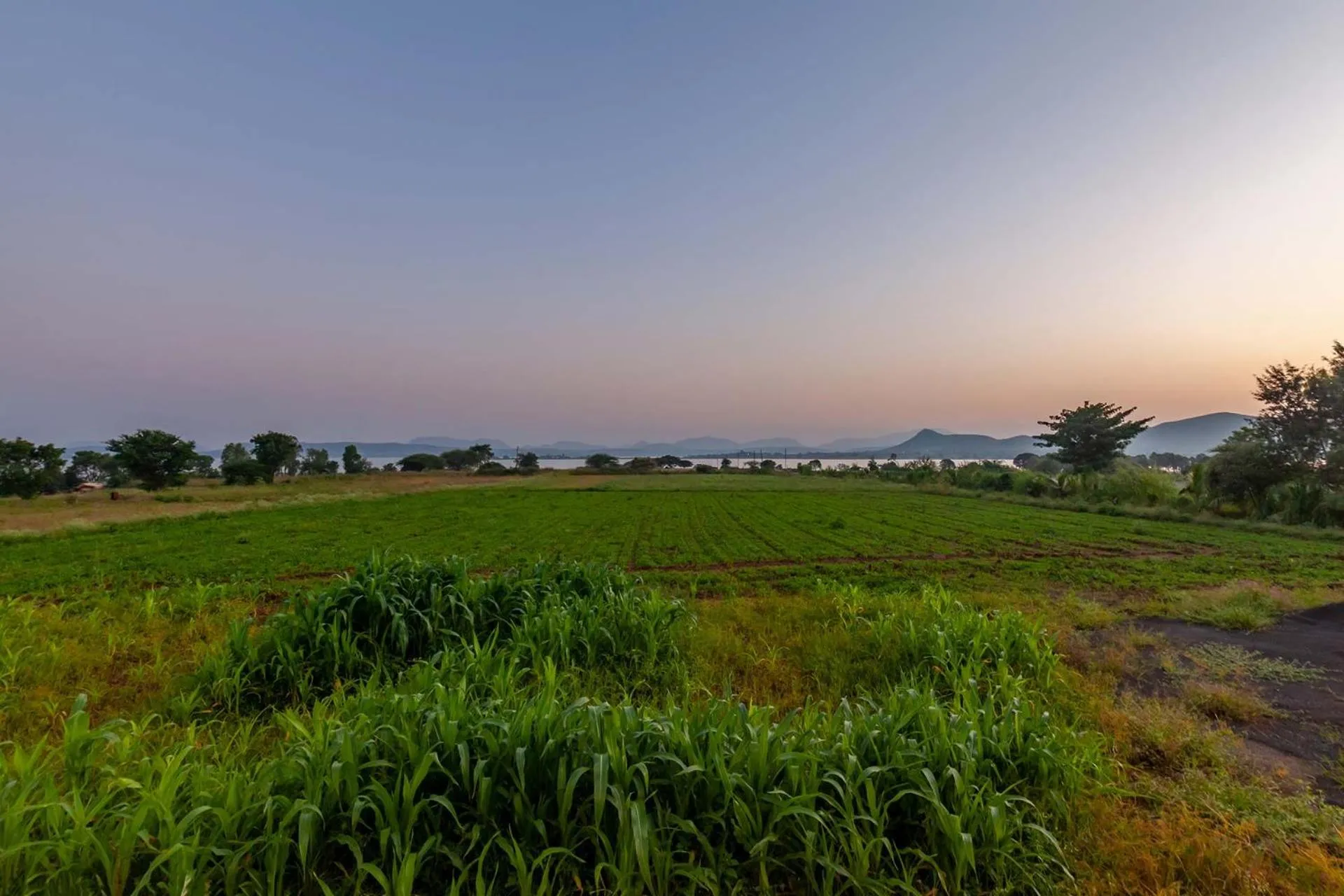 Natural landscape in StayVista's Lake La Vie - Tranquil Lake-View Villa Amidst Farmland with Pool and Poolside Gazebo - Proximity to Sula