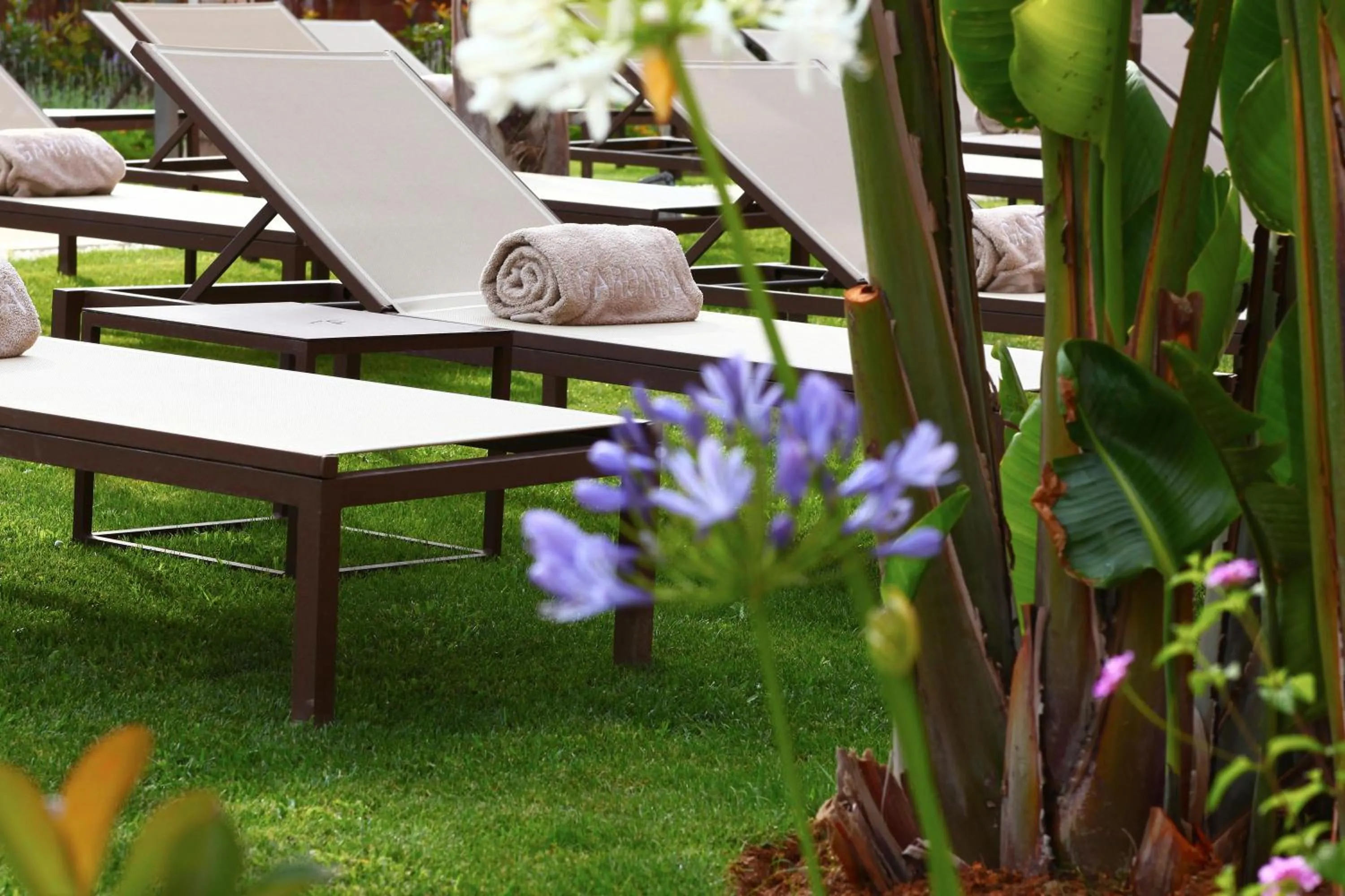 Other in Pure Salt Garonda - Adults Only