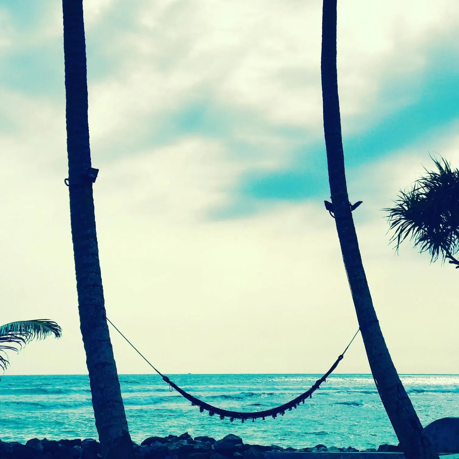 Natural landscape in D' Art VILLA RETREAT AND SPA