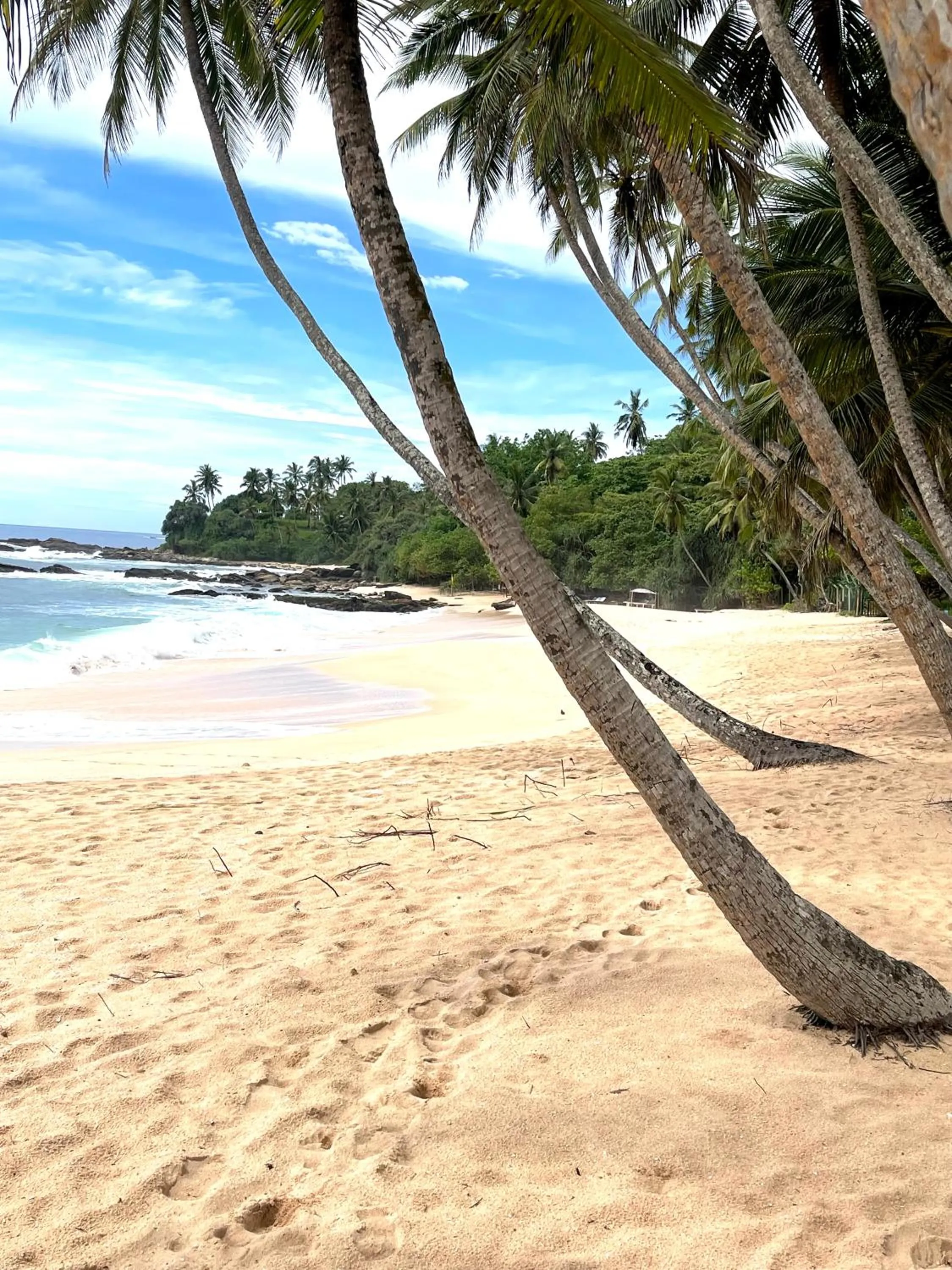 Natural landscape in D' Art VILLA RETREAT AND SPA