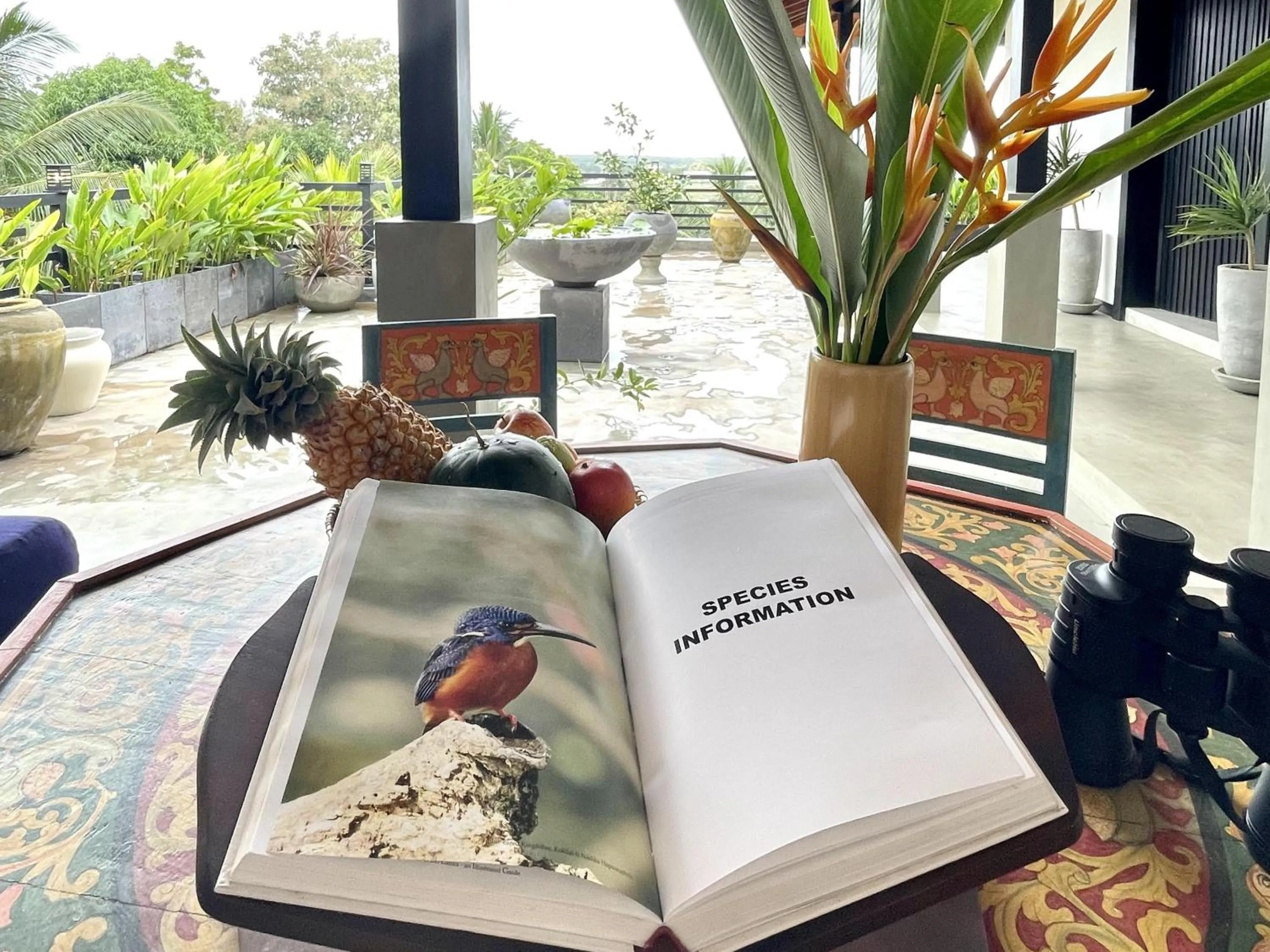 Day in D' Art VILLA RETREAT AND SPA