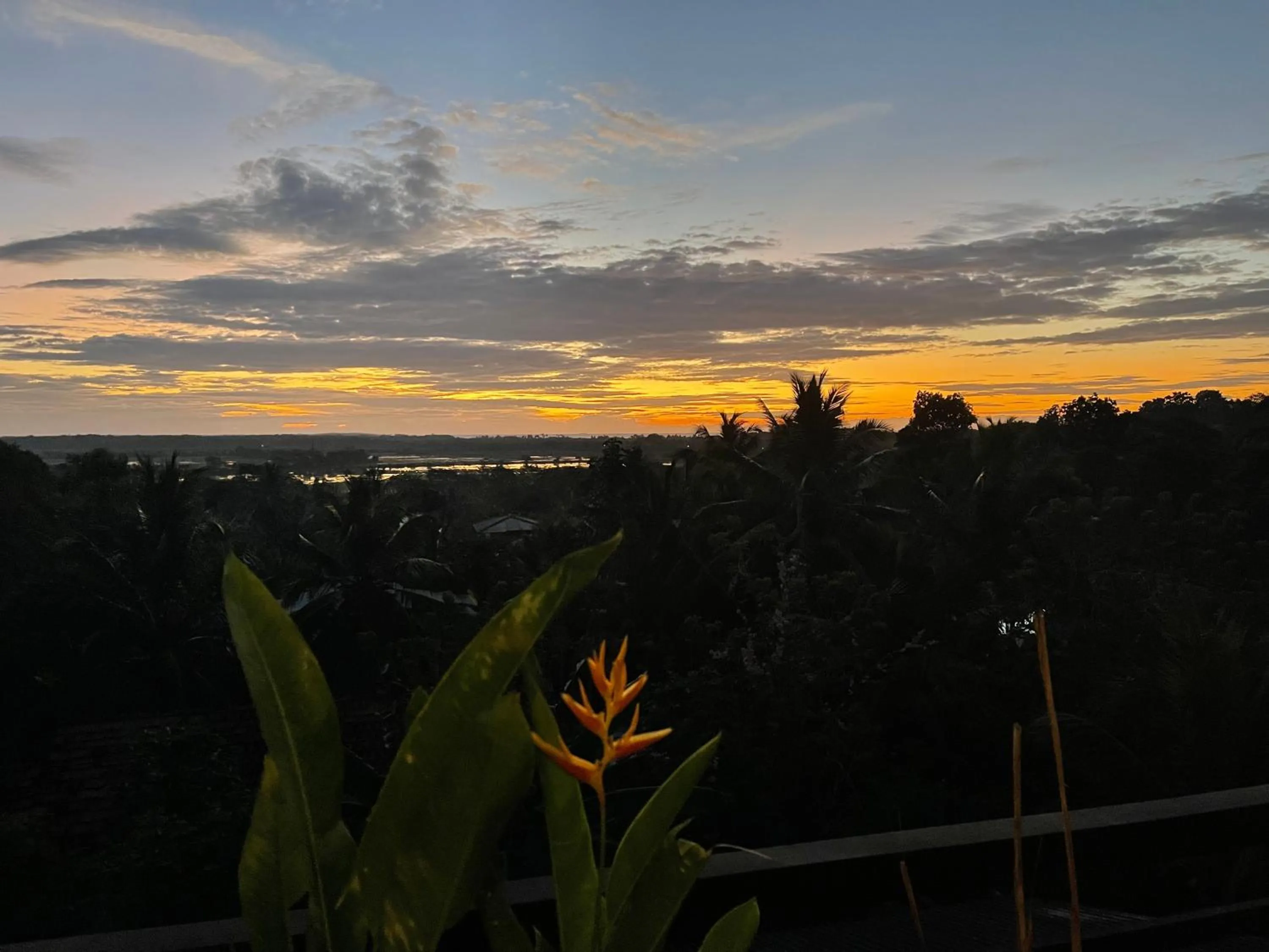 Natural landscape in D' Art VILLA RETREAT AND SPA