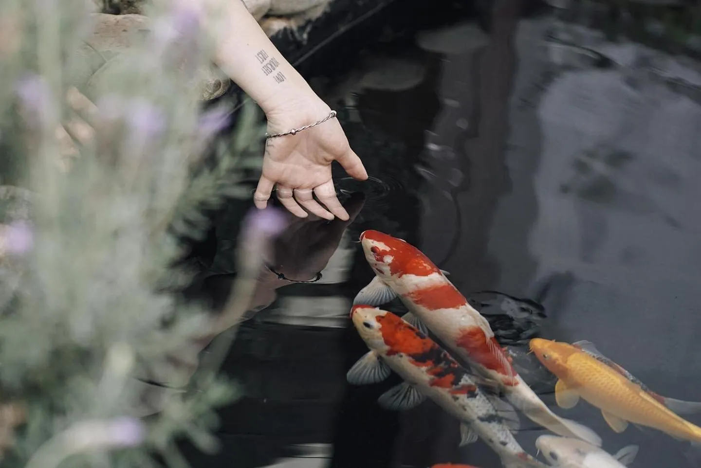 Lake view in Lengkeng Da Lat Homestay