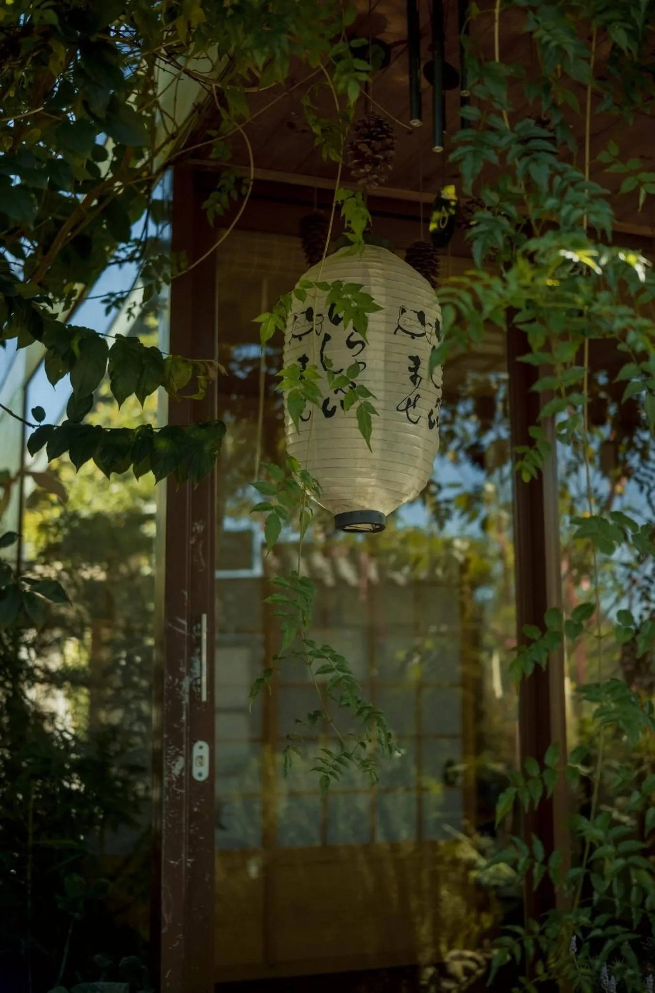 Spring in Lengkeng Da Lat Homestay