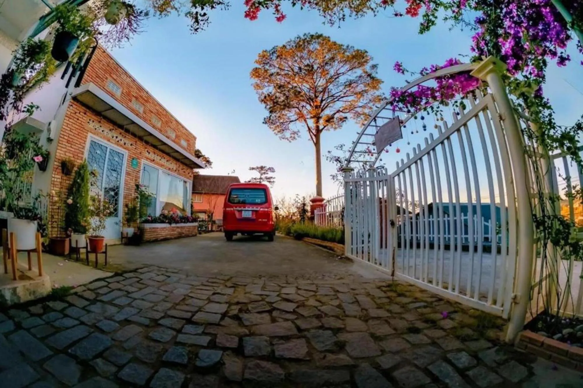 Inner courtyard view in Lengkeng Da Lat Homestay