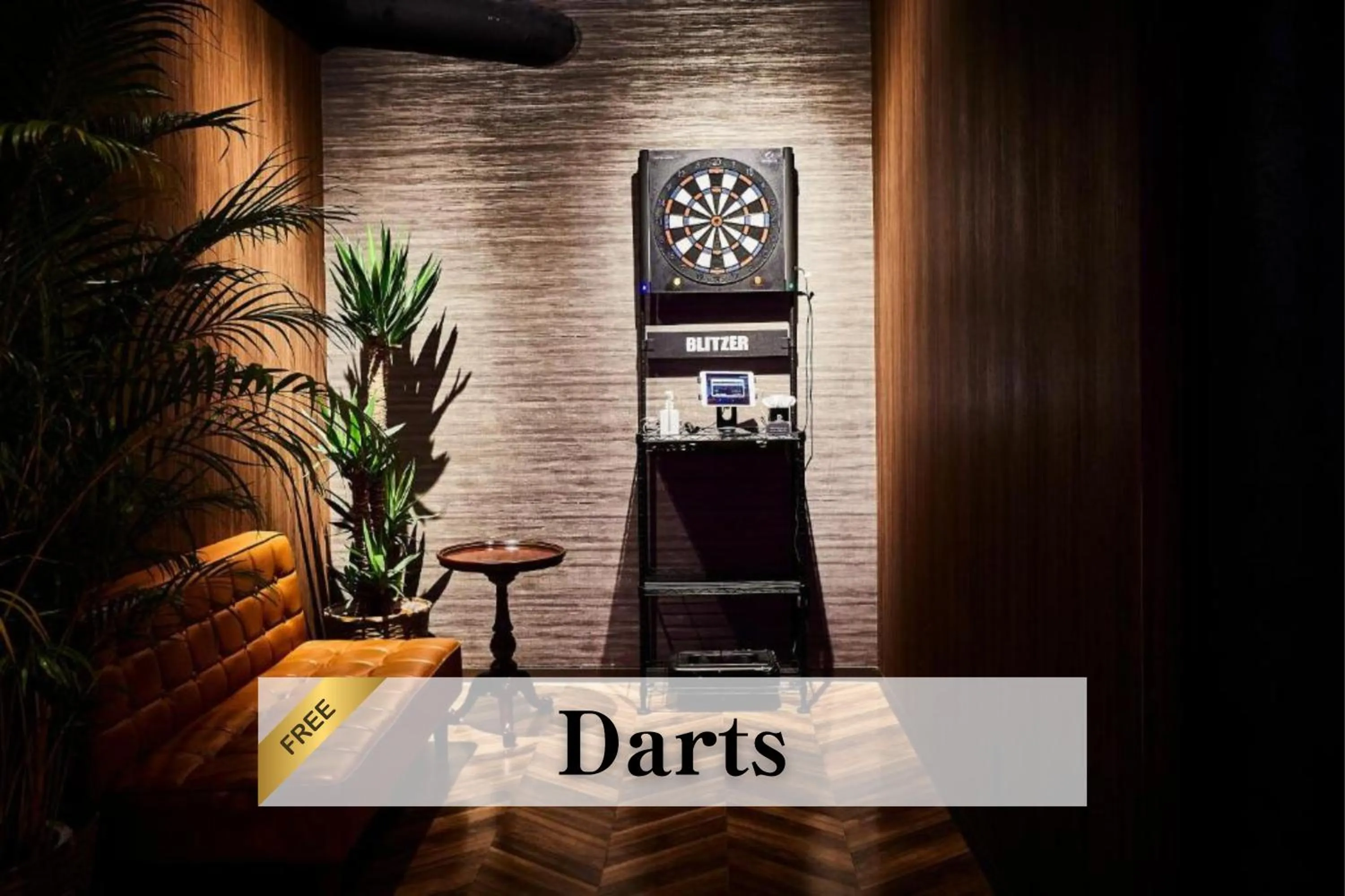 Darts in Petit Bali Ikebukuro