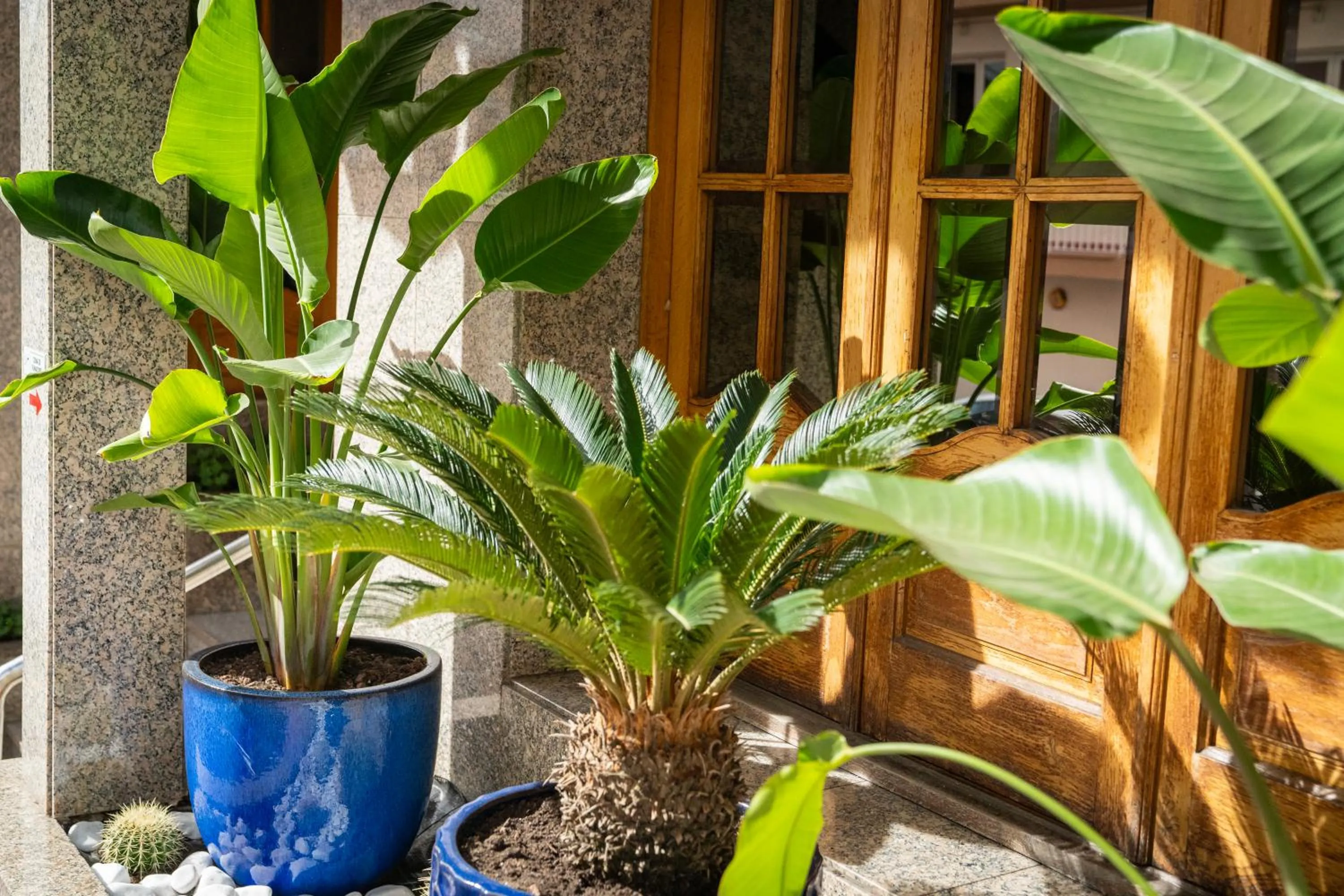 Property building in Hotel Ridomar 365