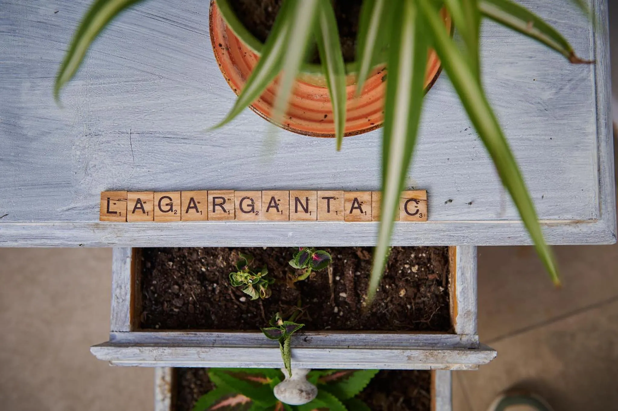 Decorative detail in Complejo Turístico La Garganta