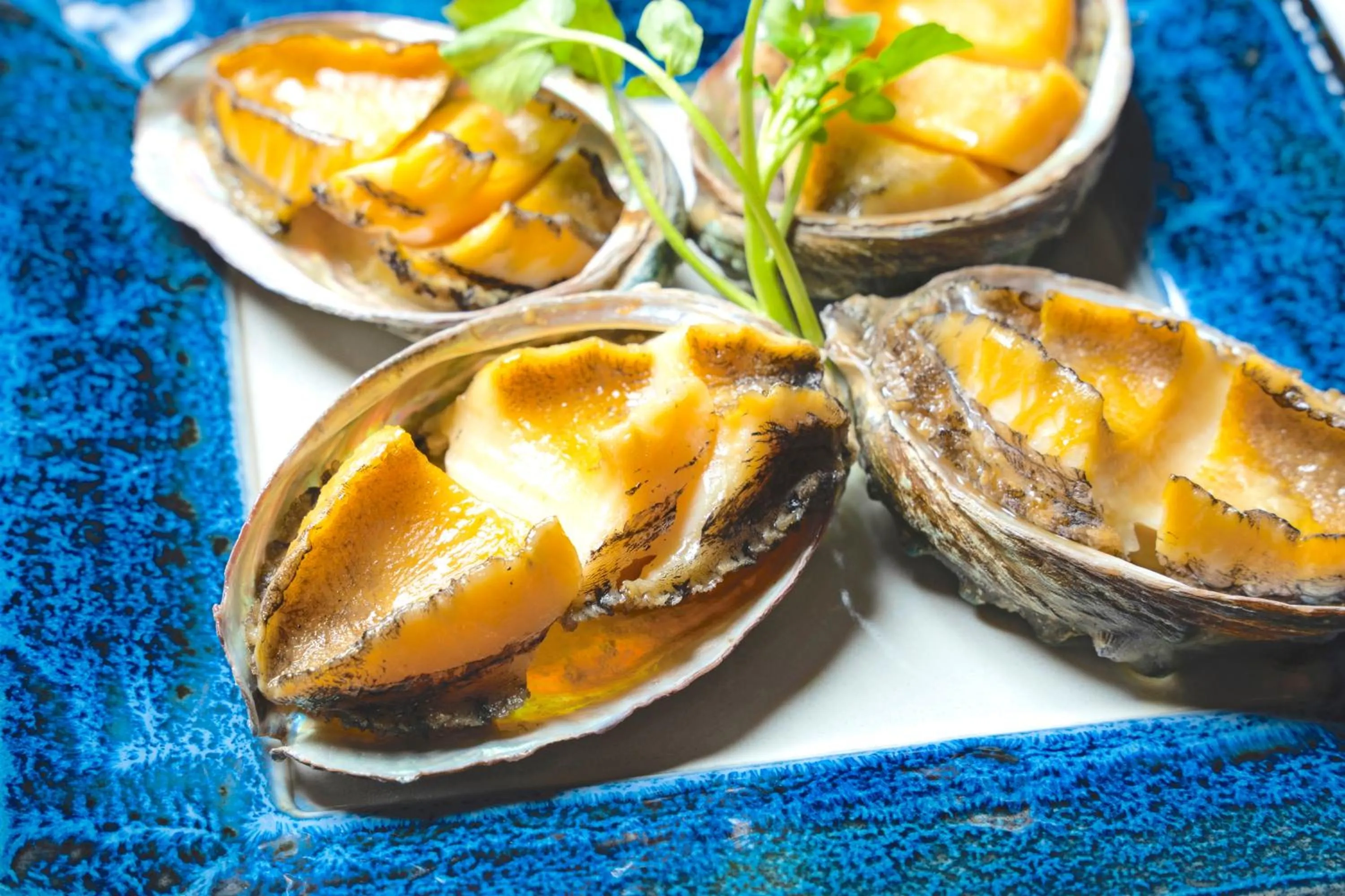 GLAMPREMIER Setouchi