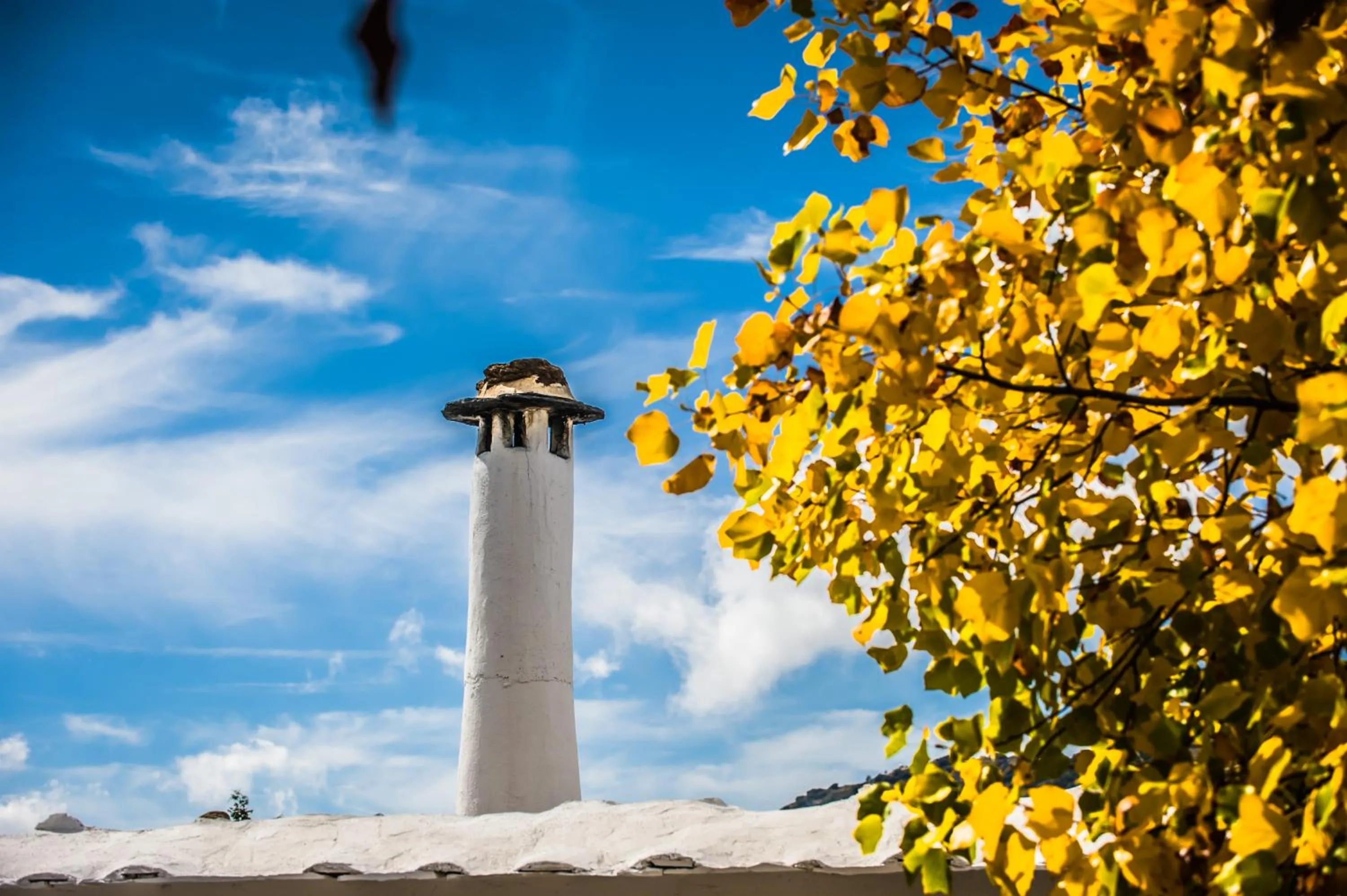 Neighbourhood in Finca Los Llanos