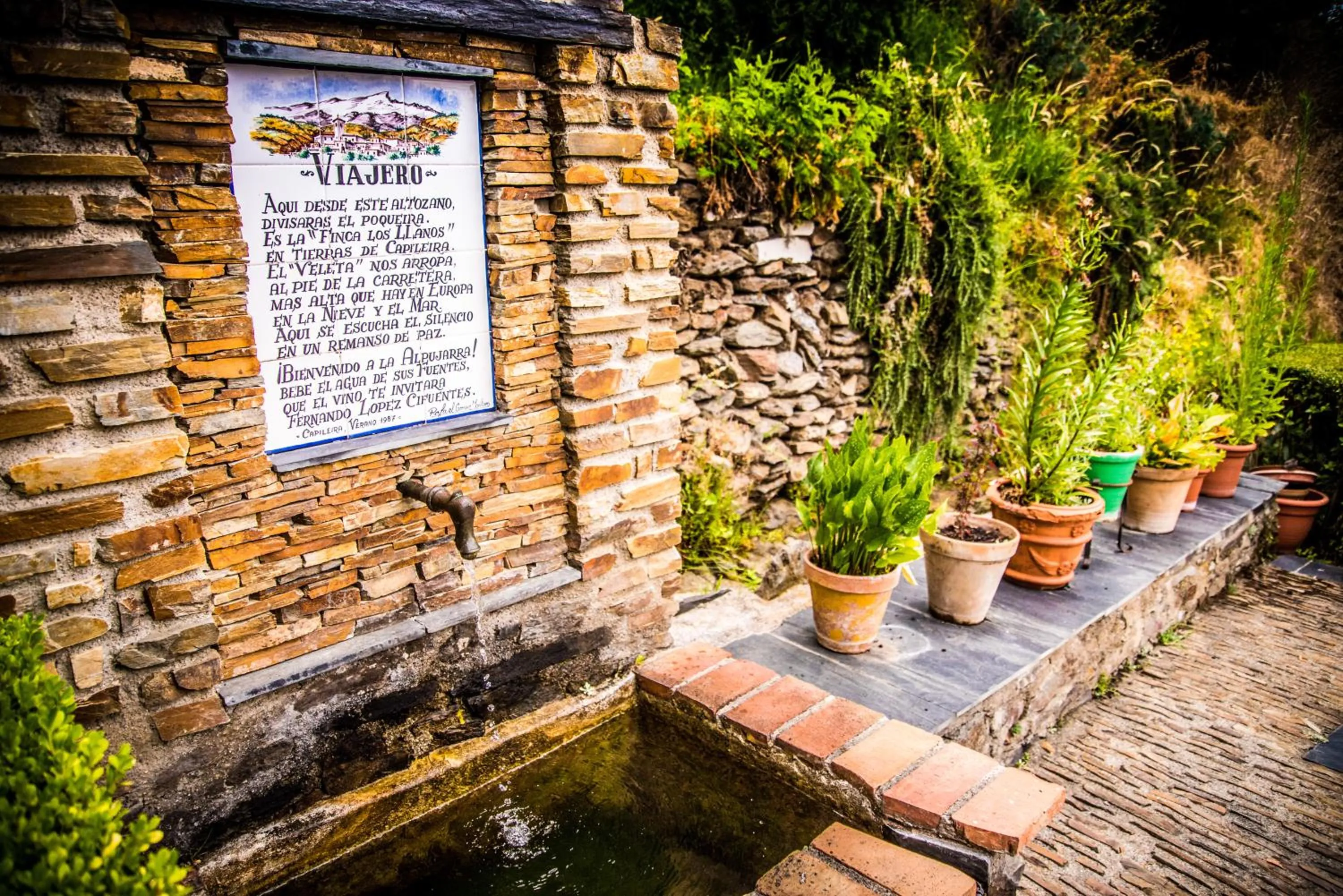 Patio in Finca Los Llanos