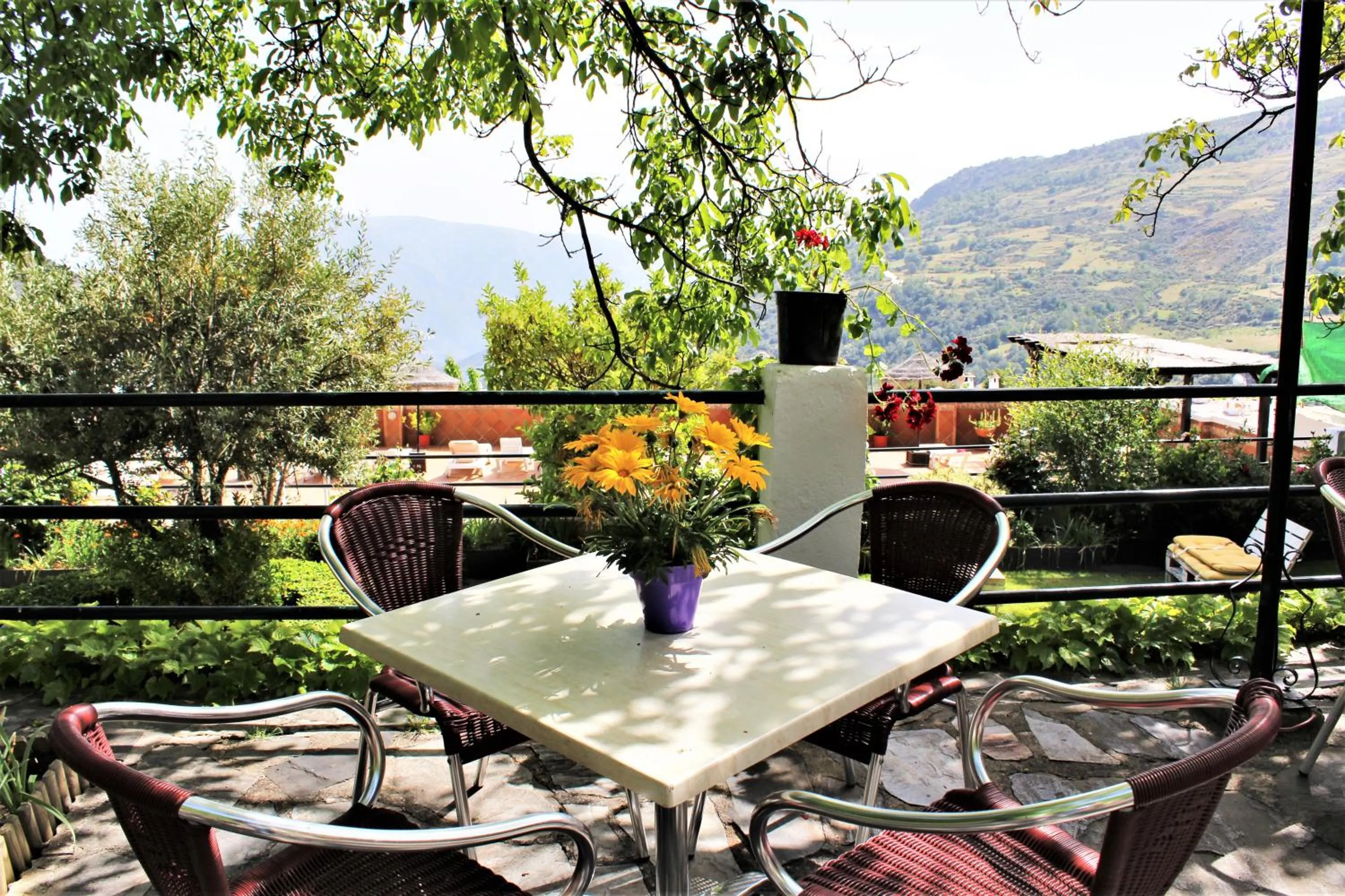 Off site in Finca Los Llanos