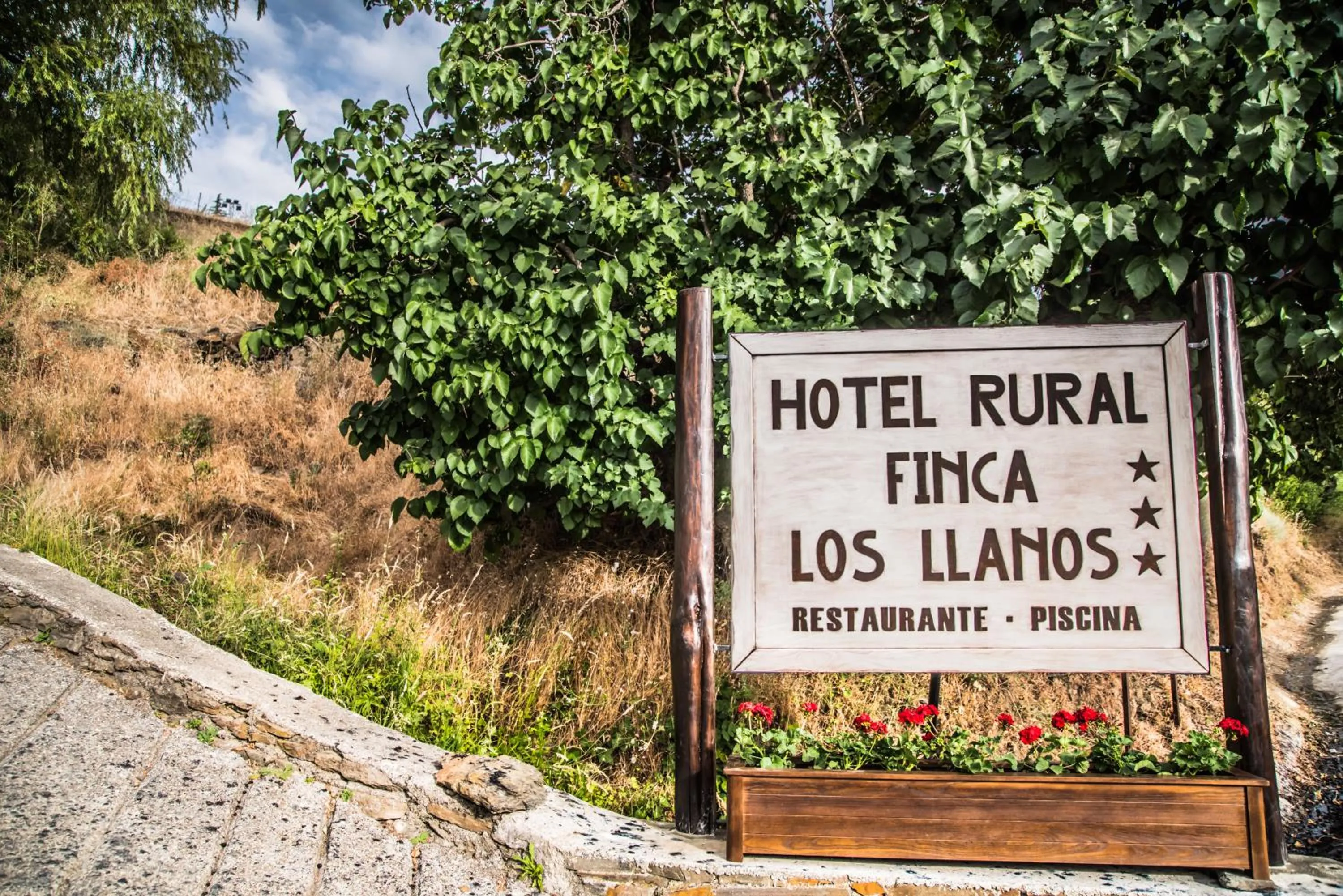 Day in Finca Los Llanos