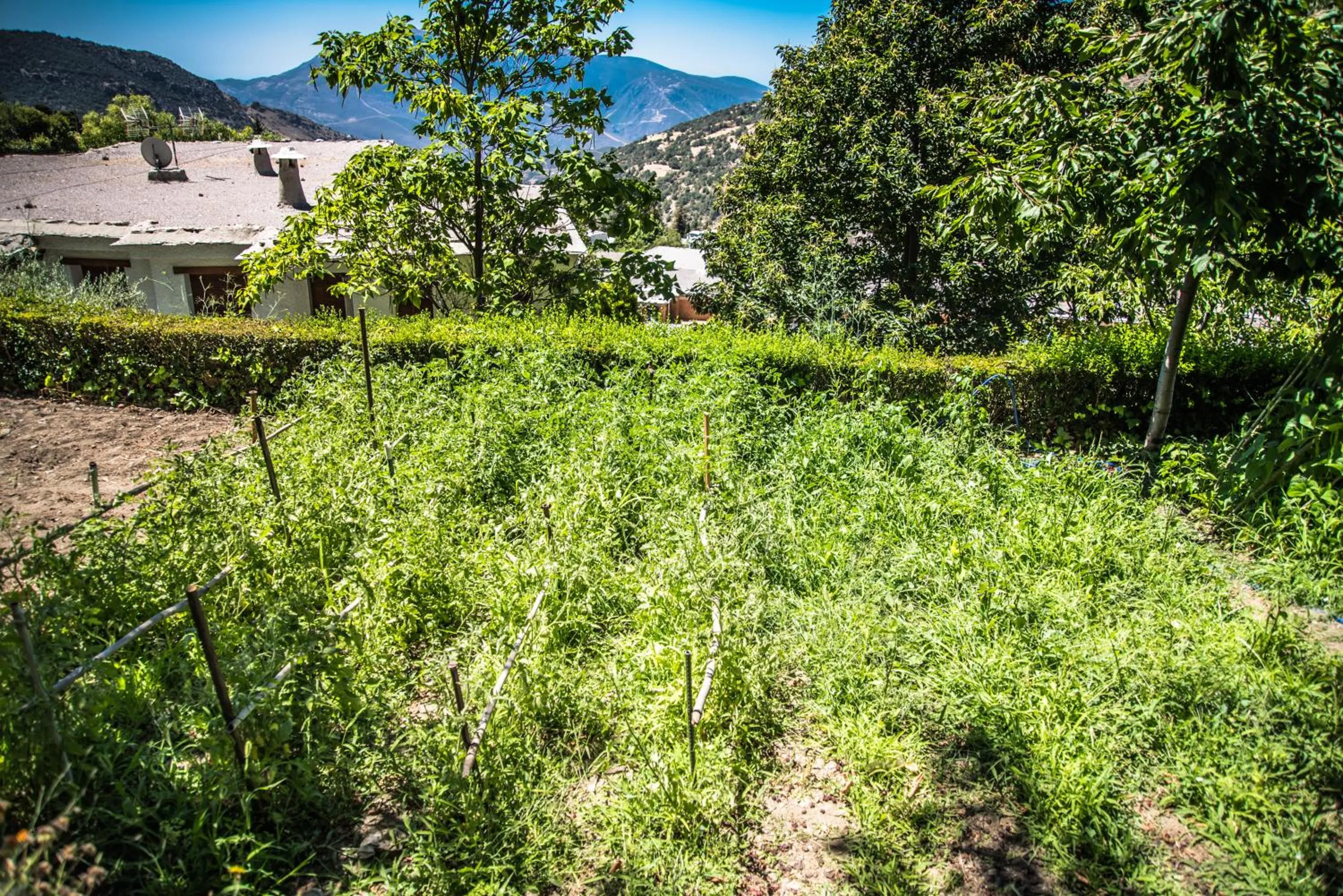 Day in Finca Los Llanos